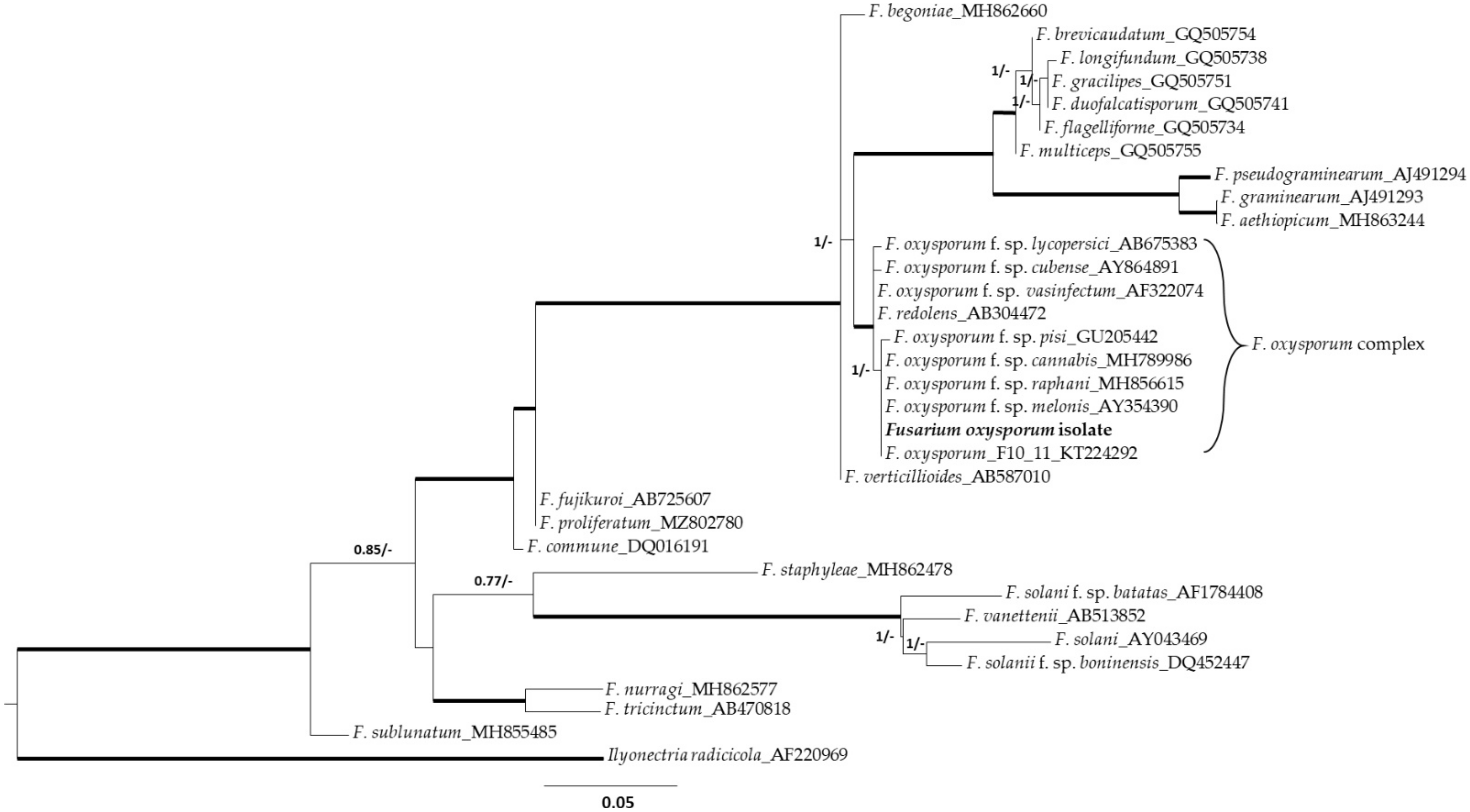 Plants 10 02436 g002