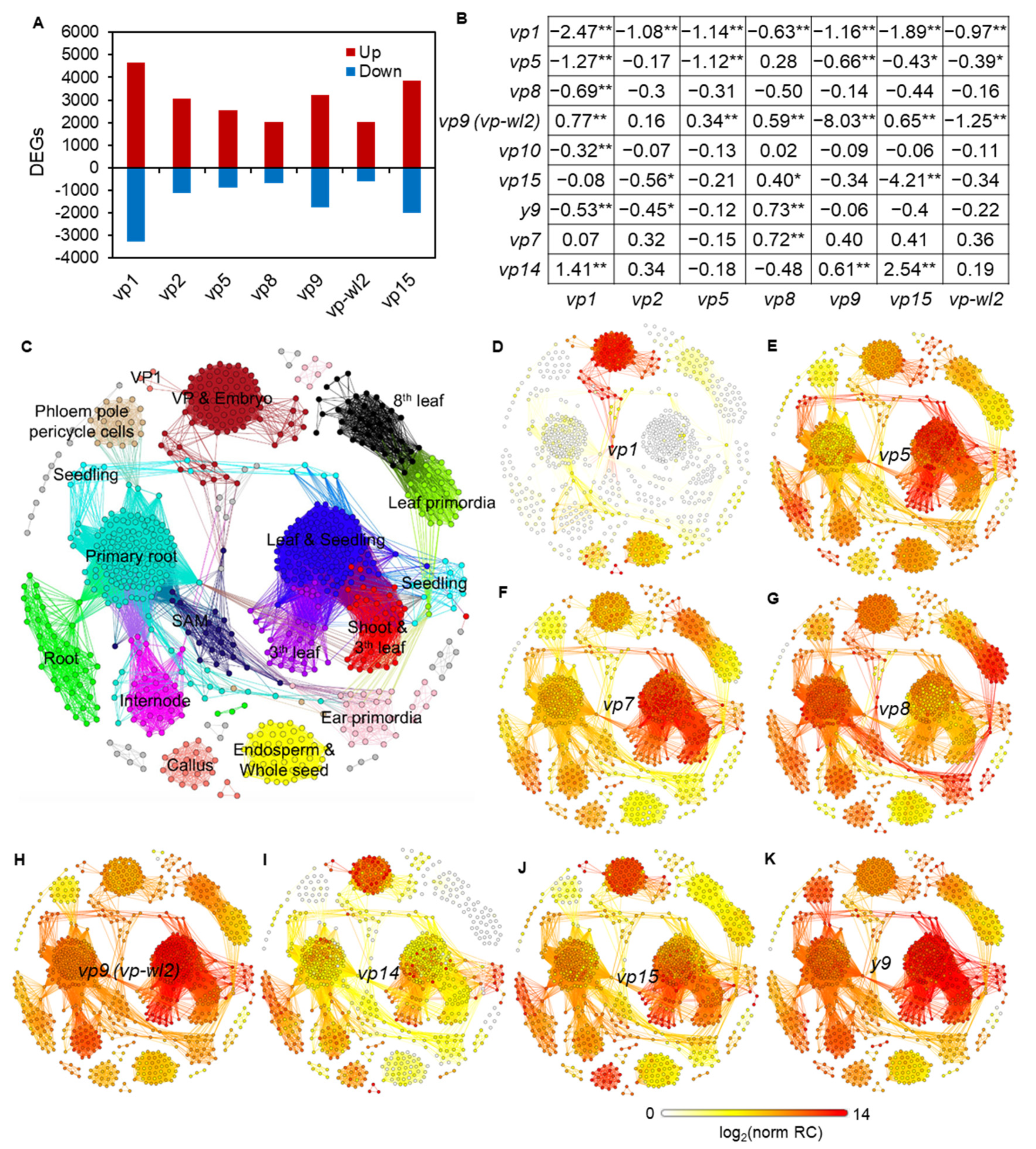 Plants 10 02437 g002