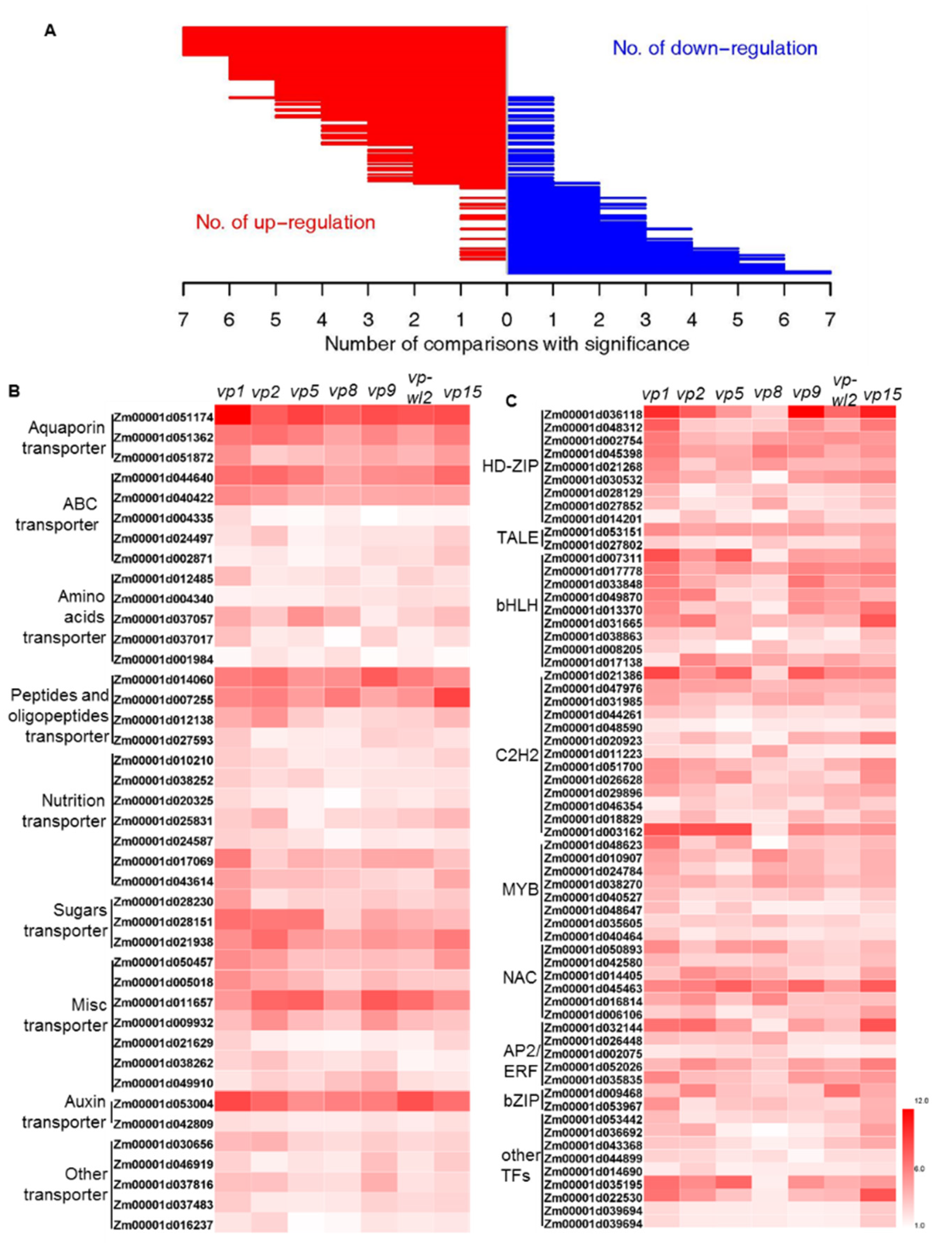 Plants 10 02437 g003