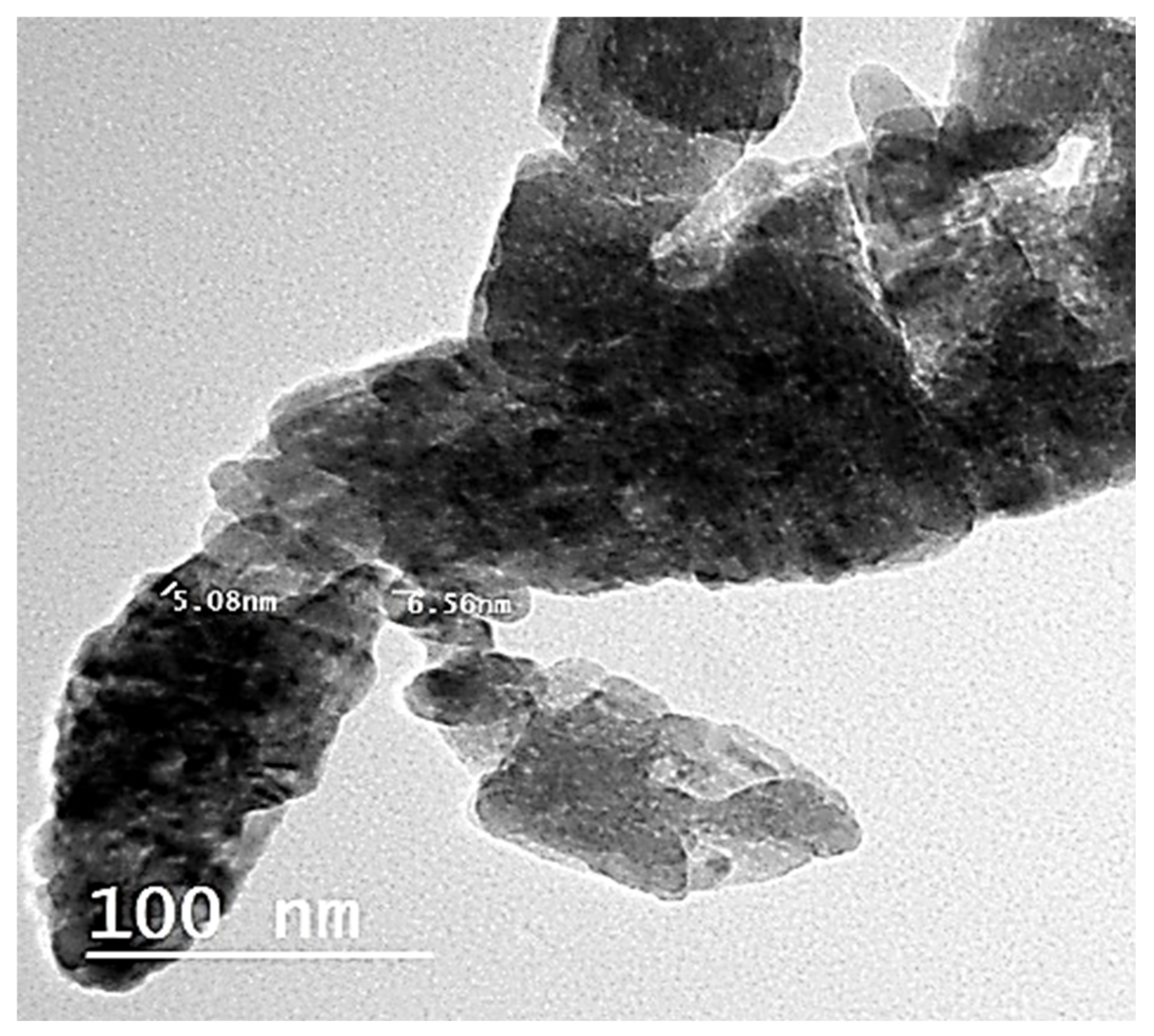 Plants 10 02447 g008