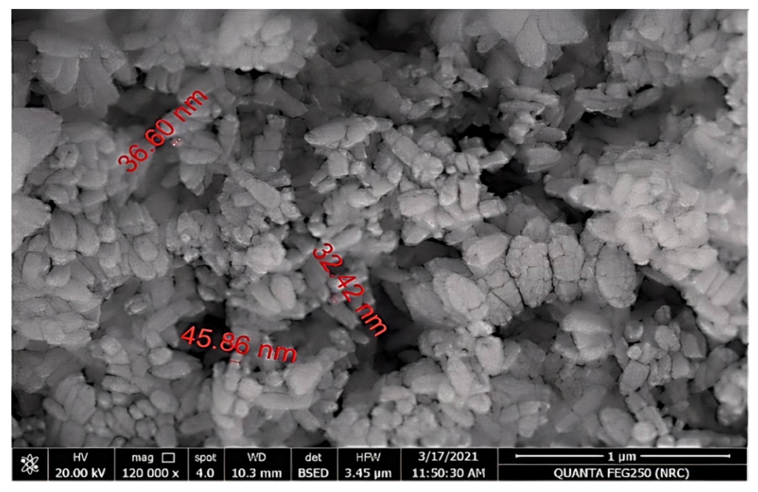 Plants 10 02447 g009