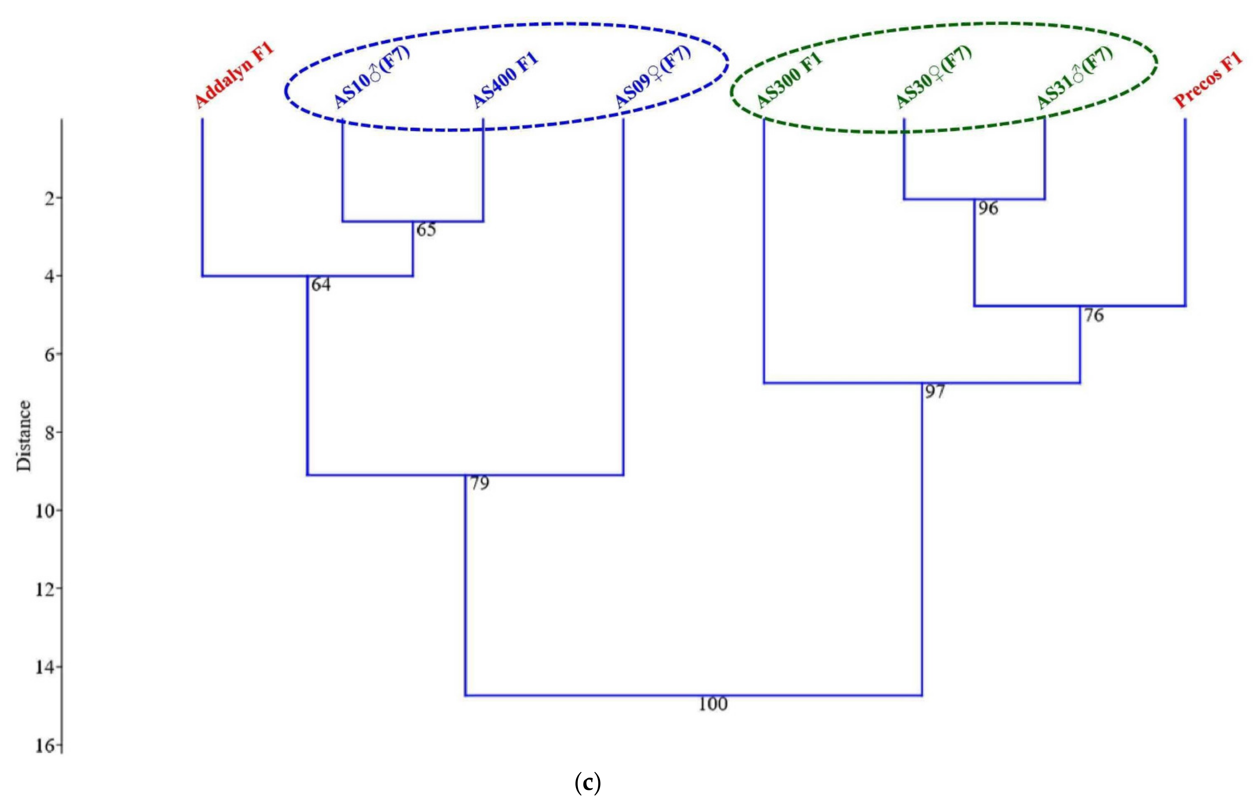 Plants 10 02480 g006b