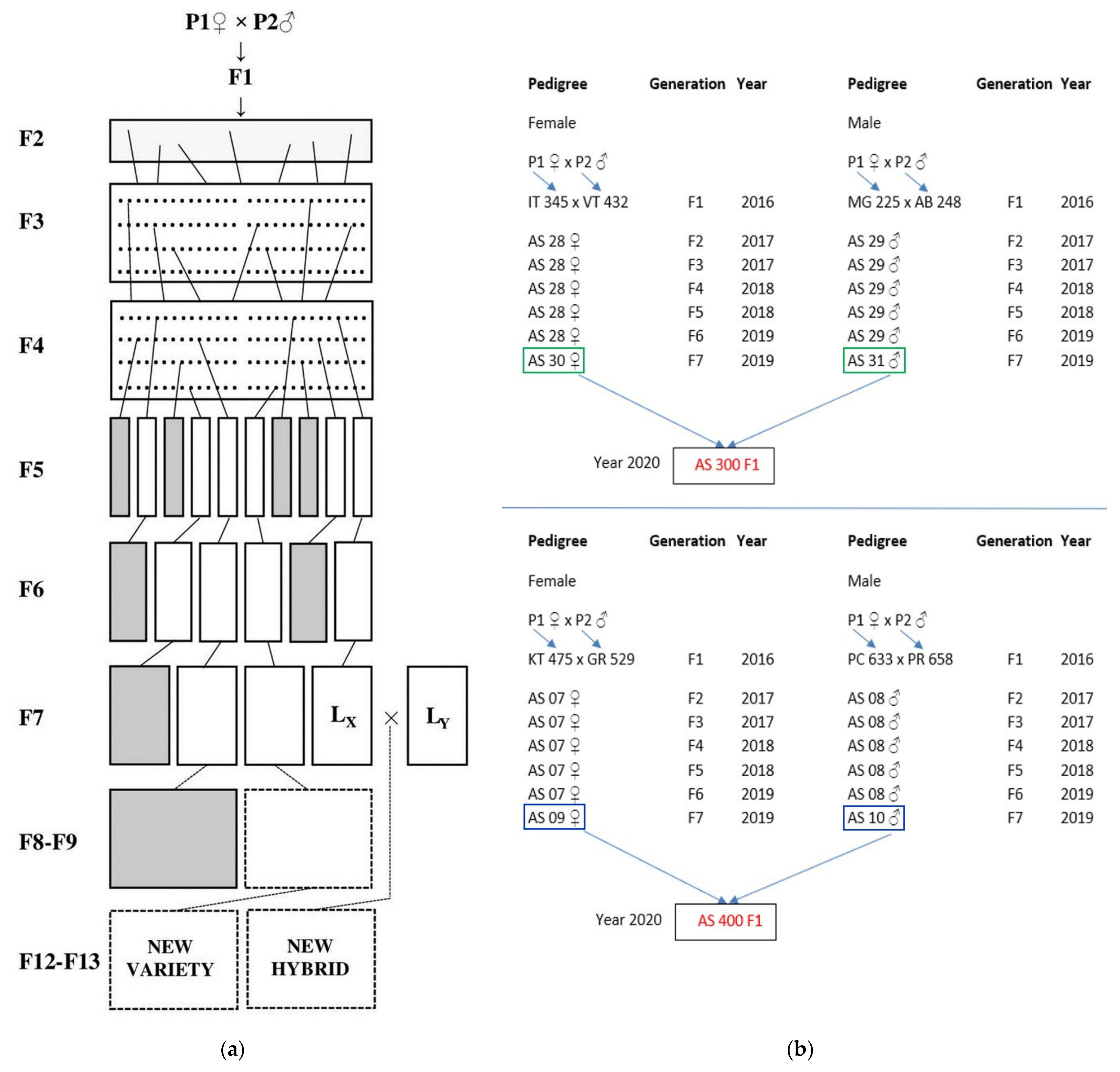 Plants 10 02480 g007