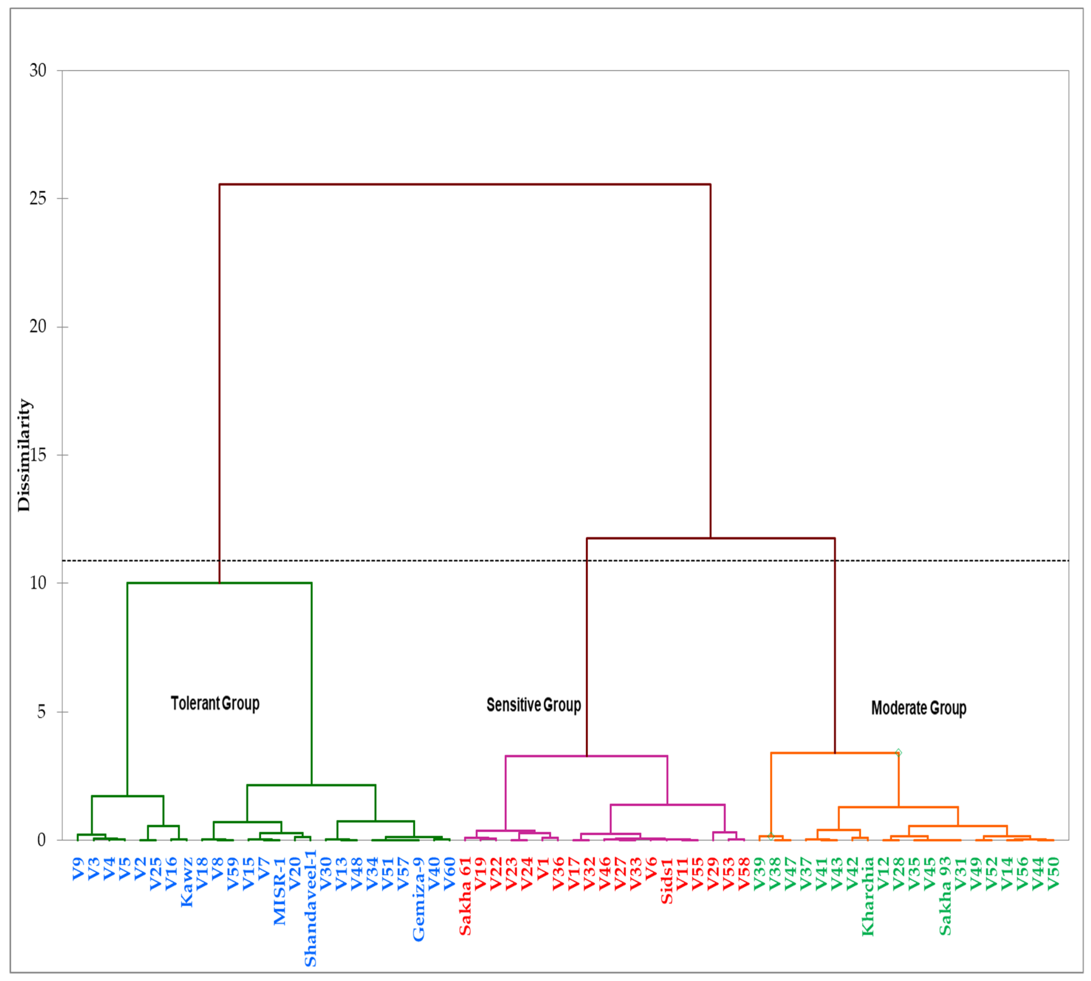Plants 10 02512 g003 Plants 10 02512 g003