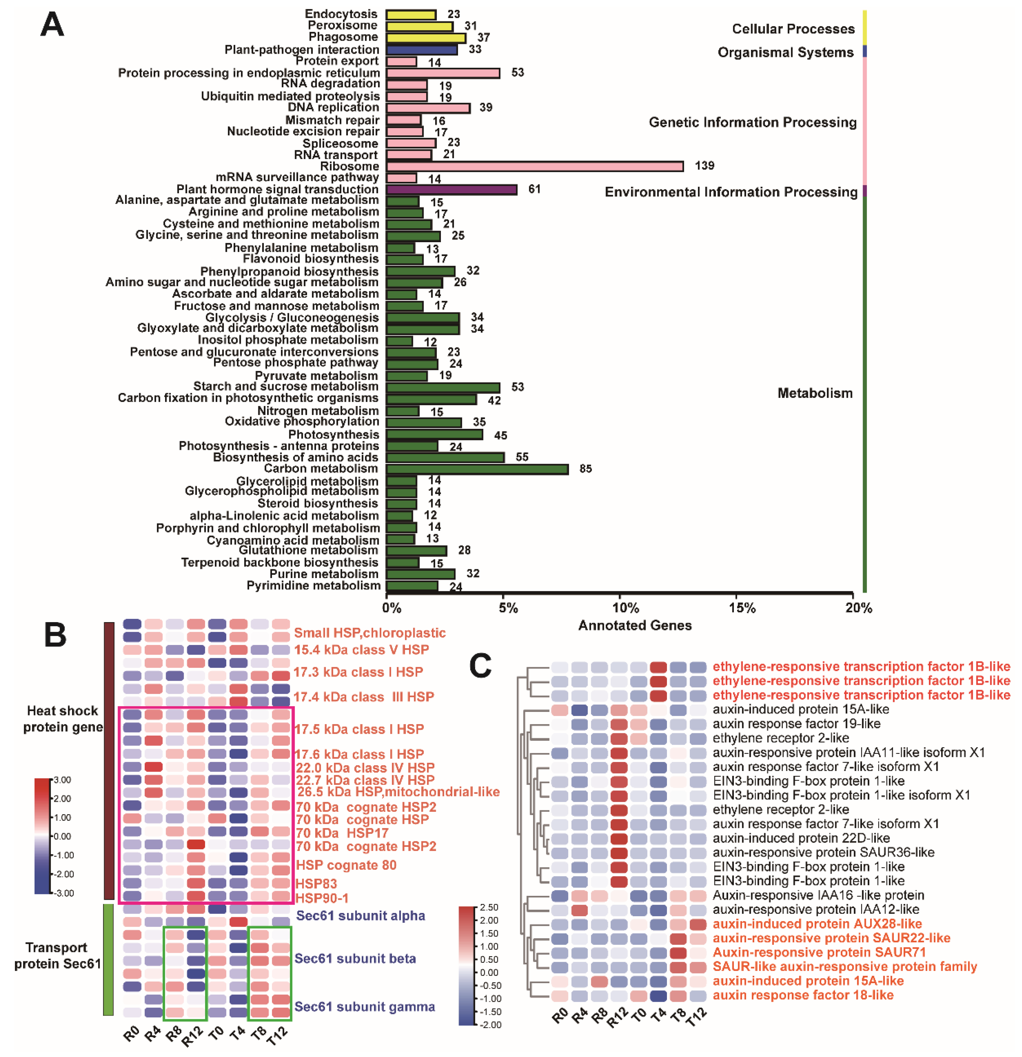Plants 10 02517 g003