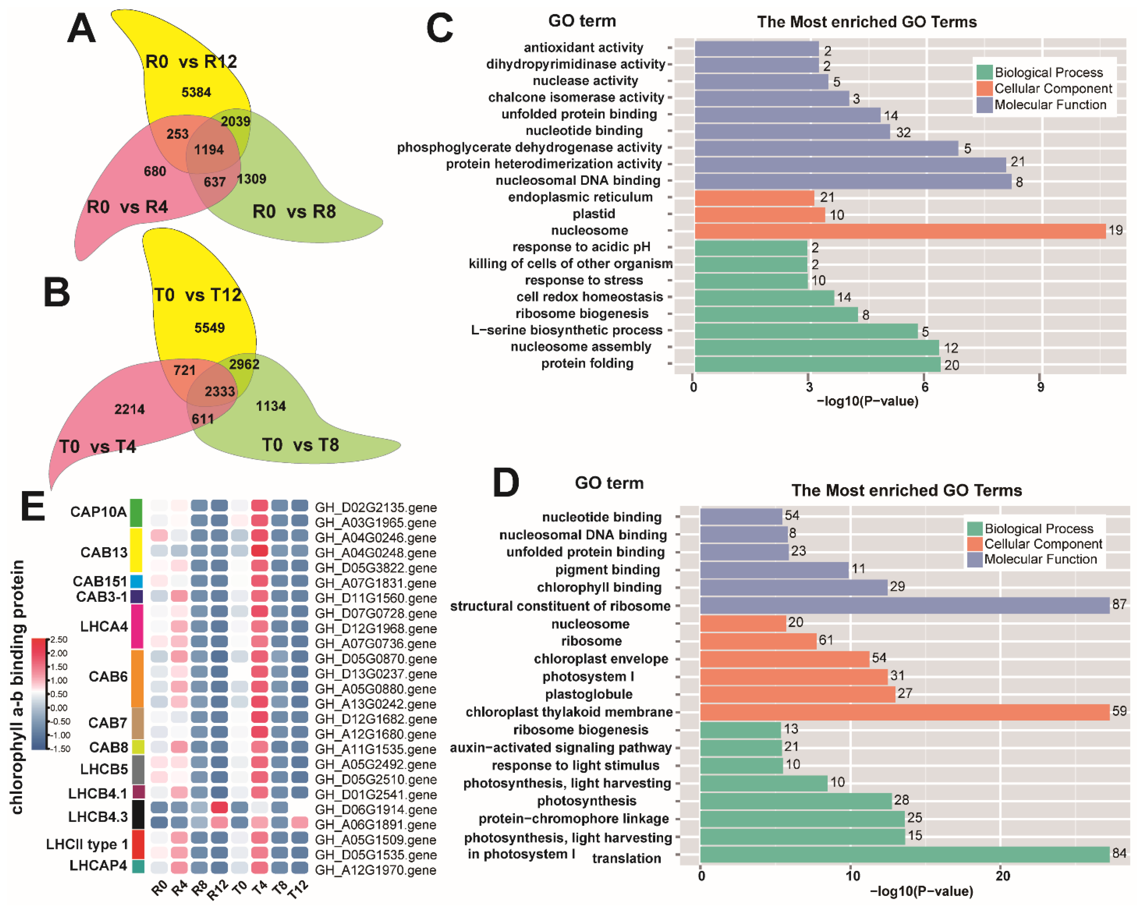 Plants 10 02517 g004