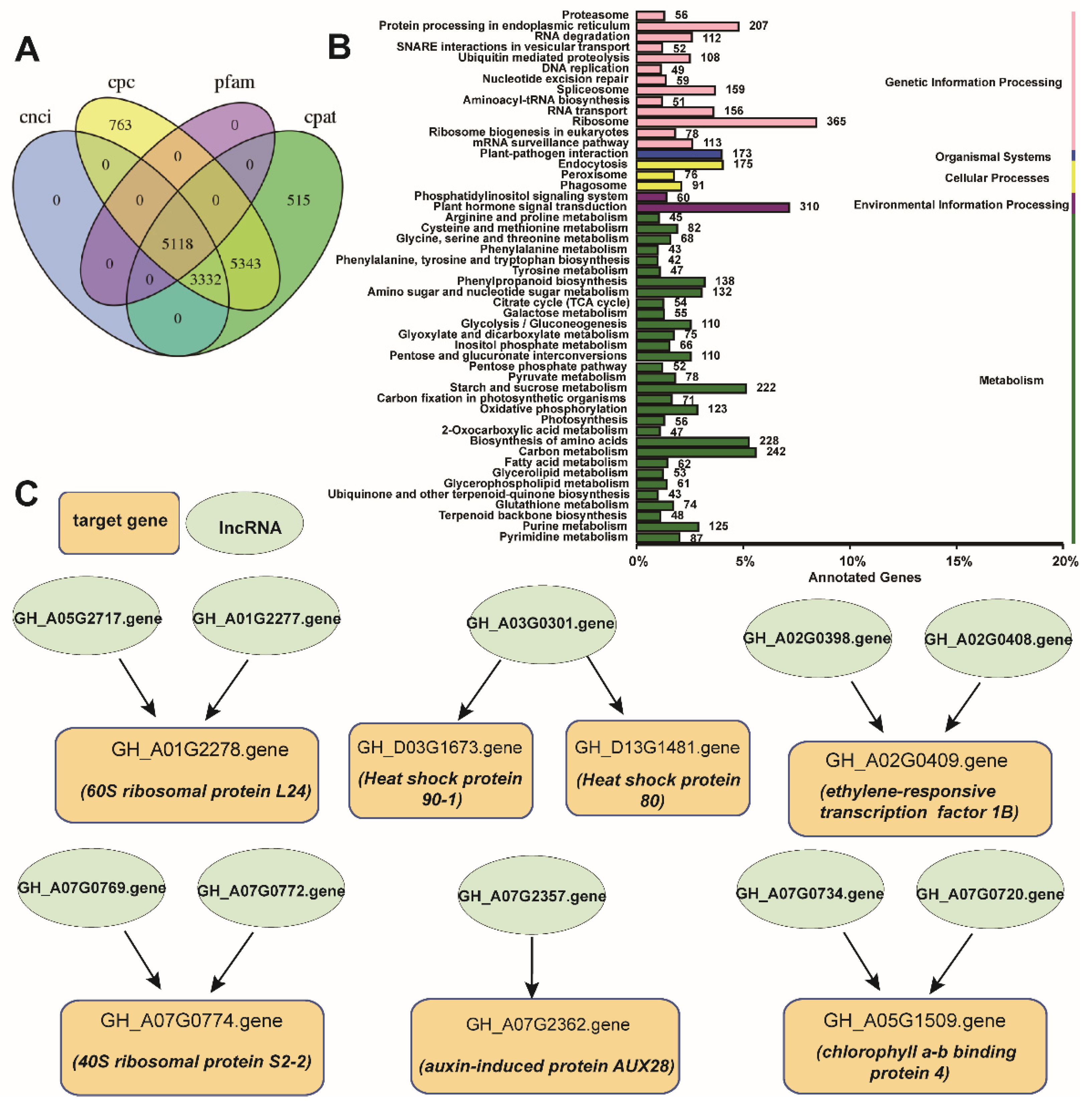 Plants 10 02517 g005