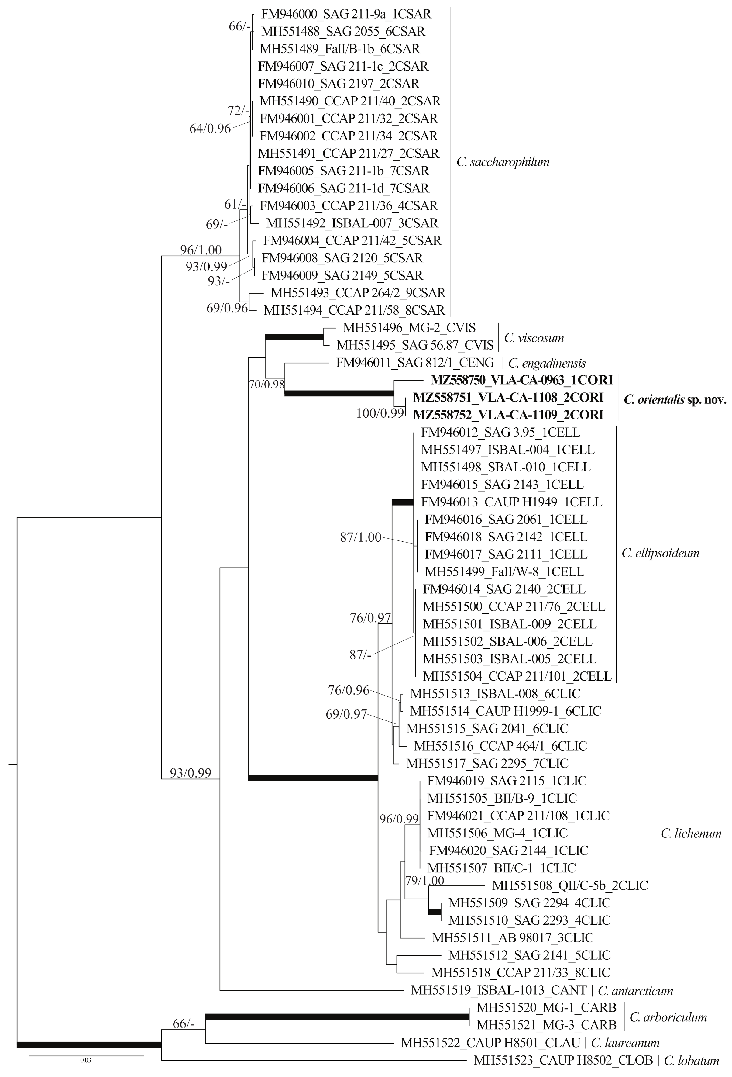 Plants 10 02560 g003