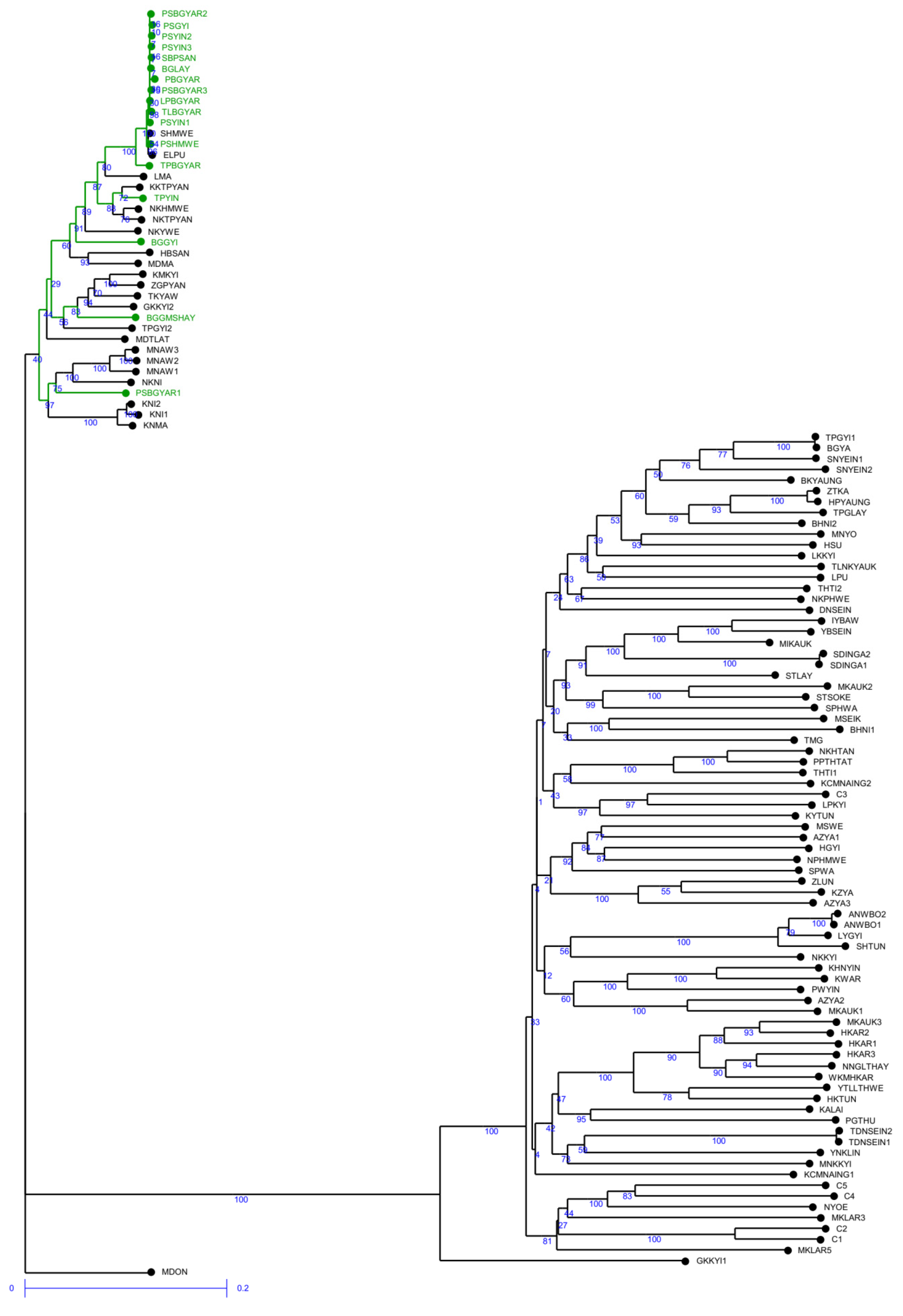 Plants 10 02564 g002