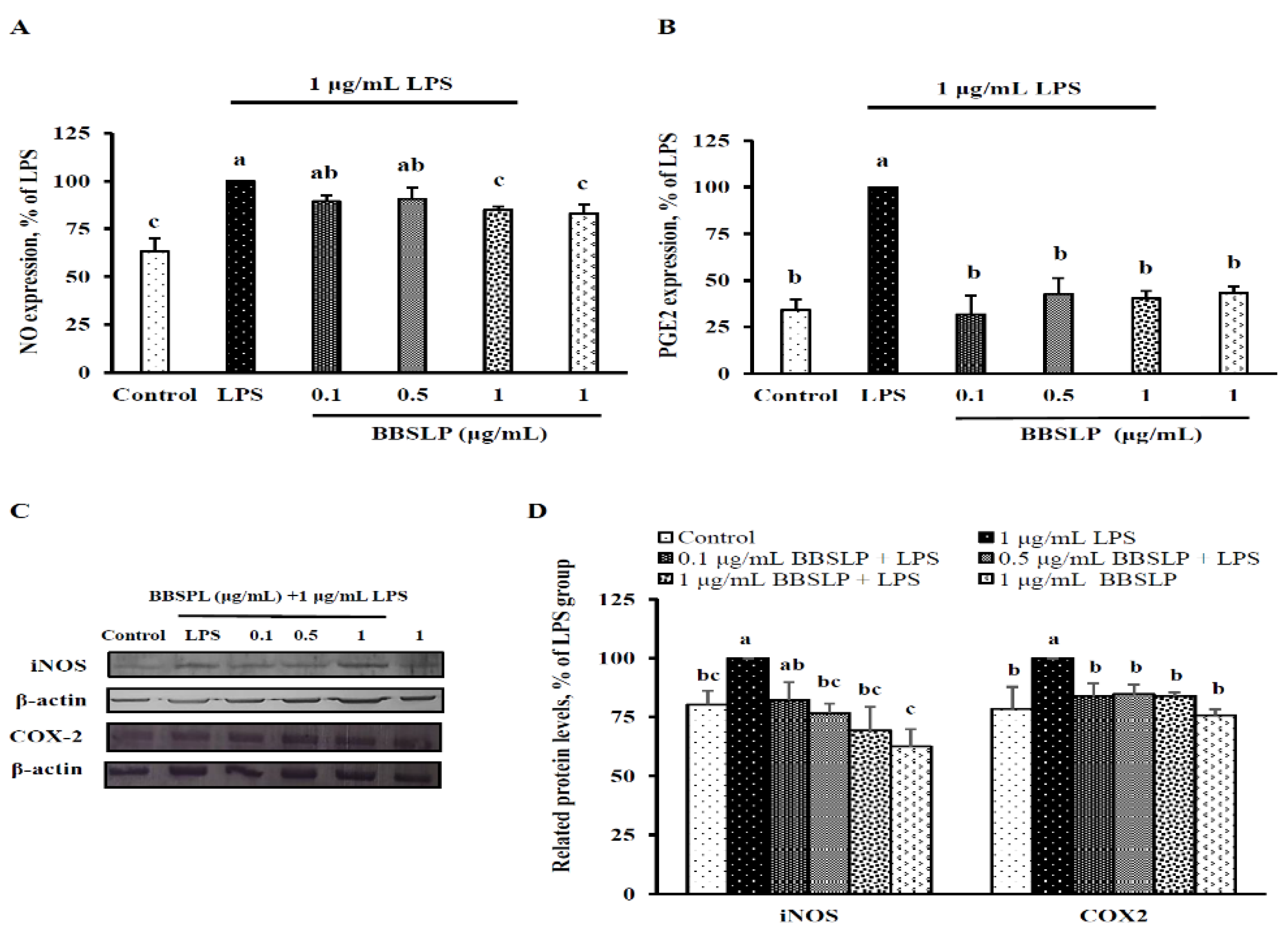 Plants 10 02579 g004