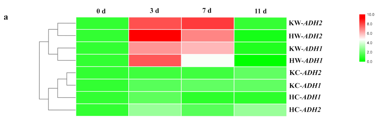 Plants 10 02586 g006a