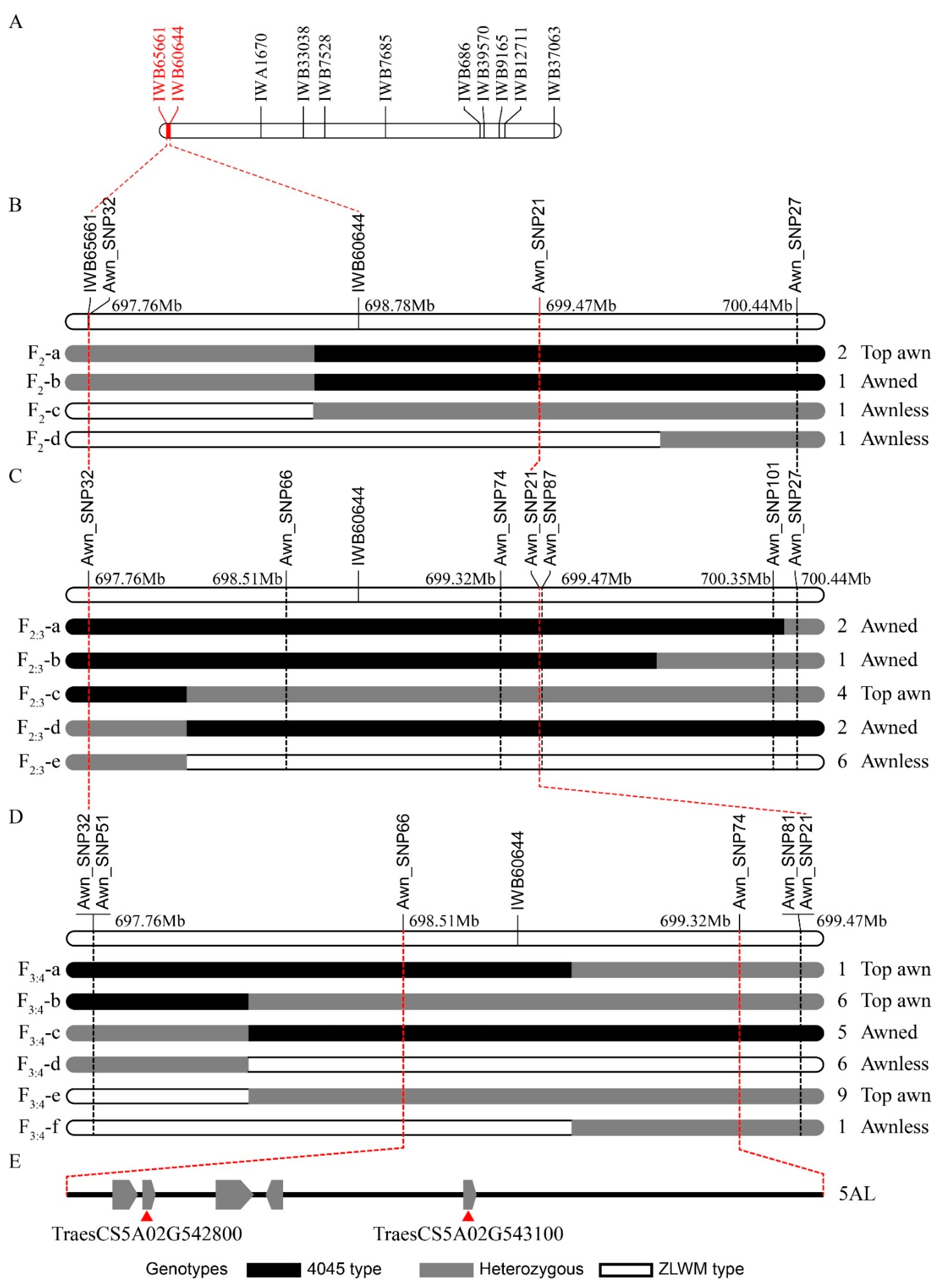 Plants 10 02588 g003