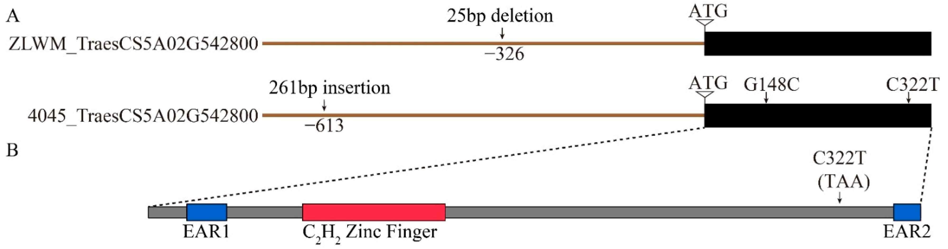 Plants 10 02588 g005