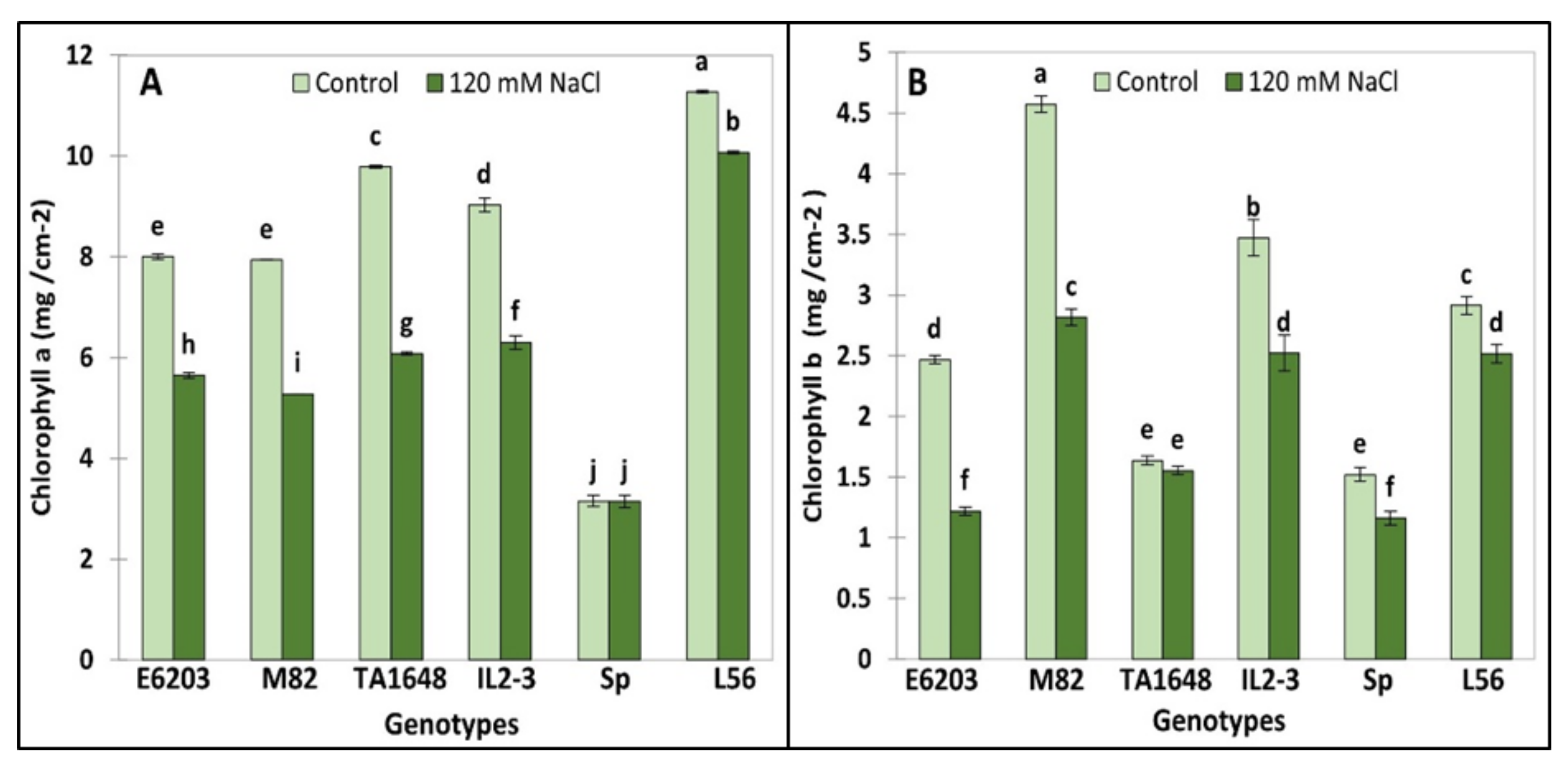 Plants 10 02594 g004