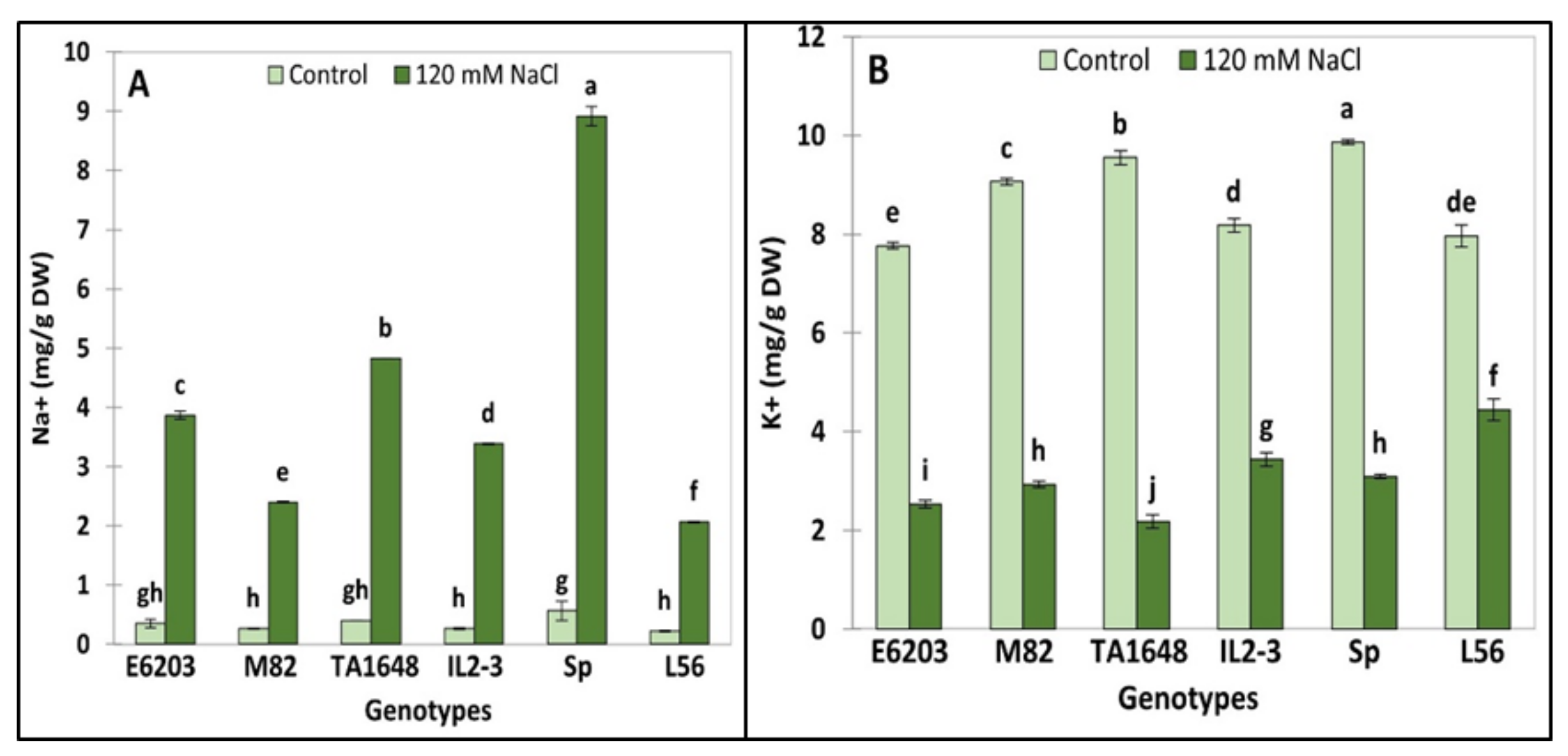 Plants 10 02594 g005