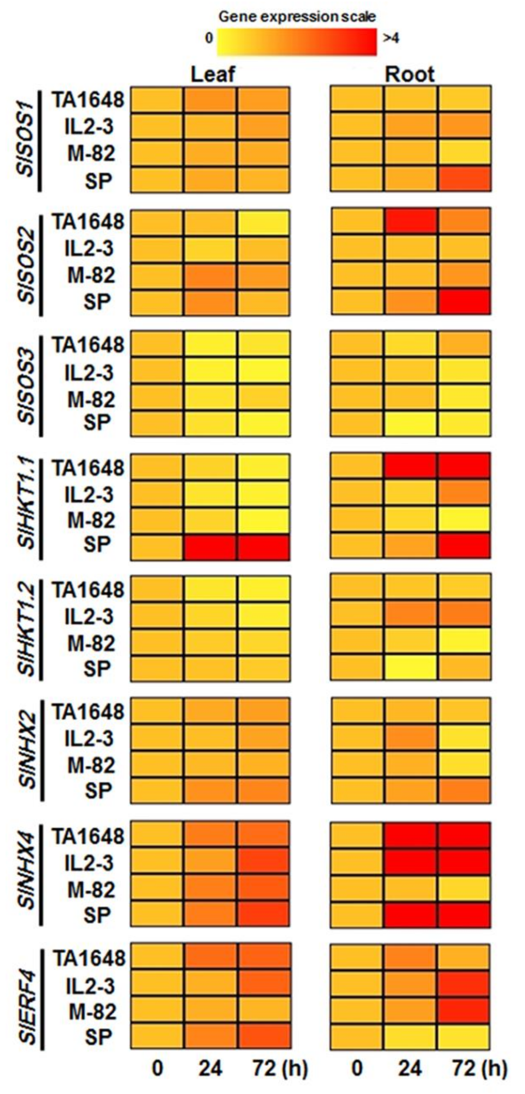 Plants 10 02594 g008