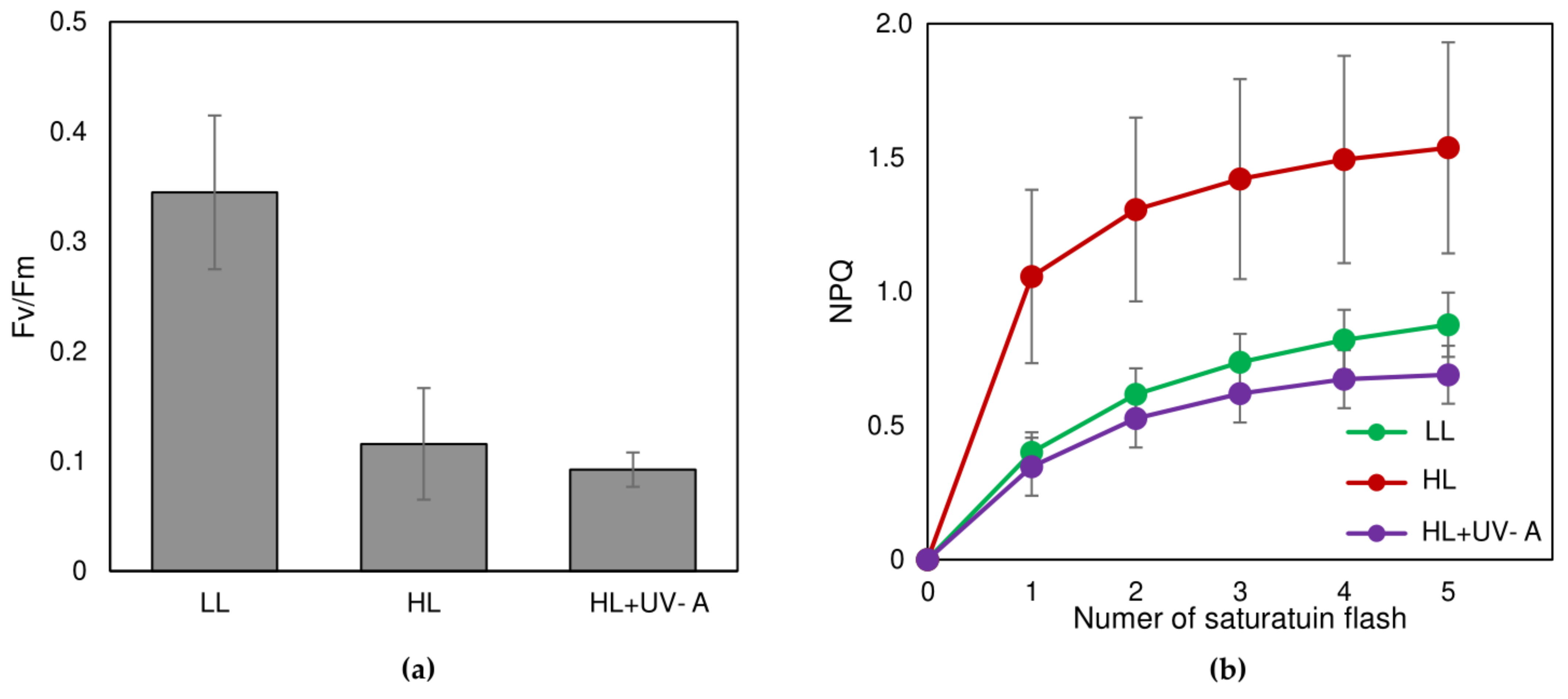 Plants 10 02601 g006