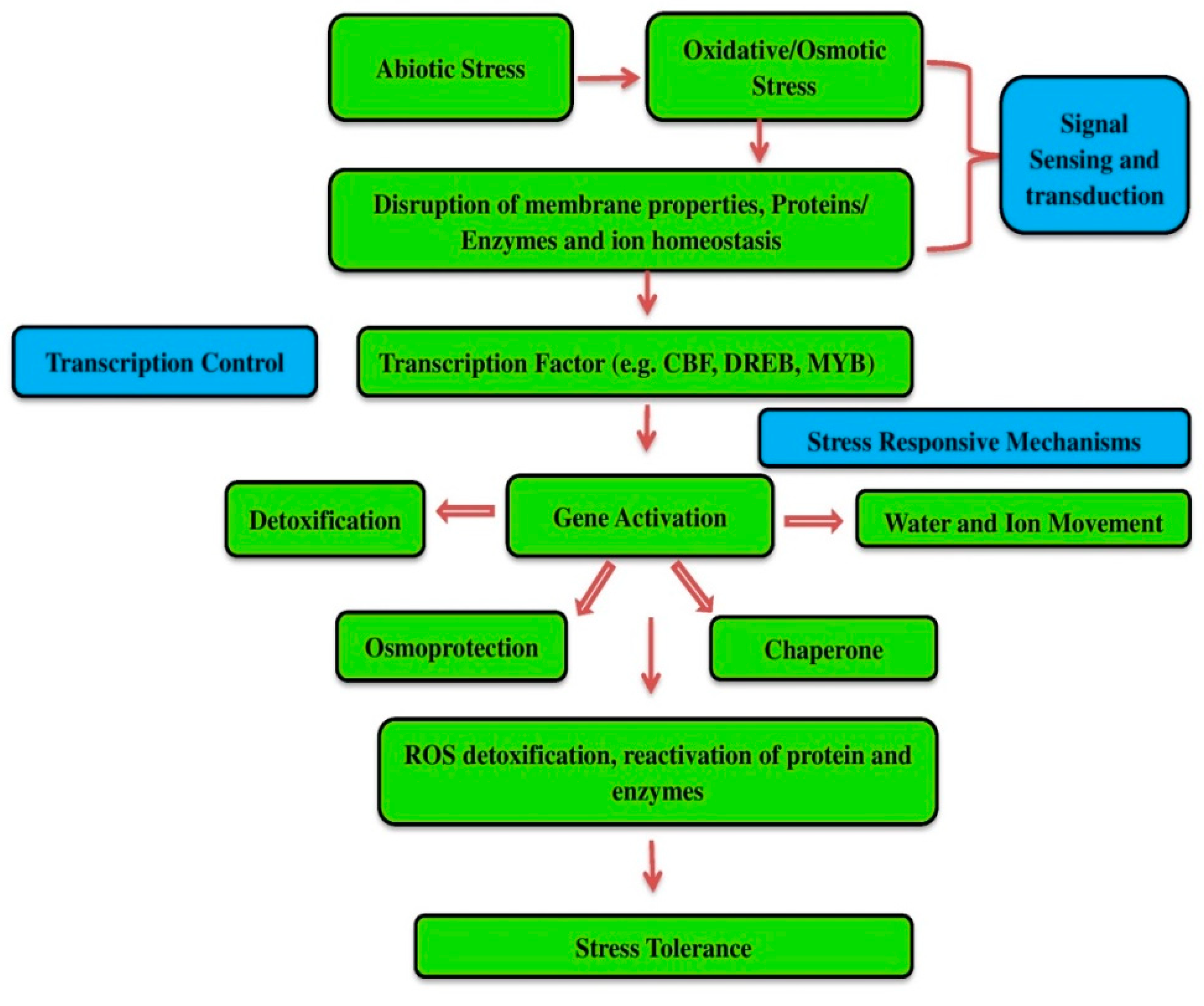 Plants 10 02622 g001