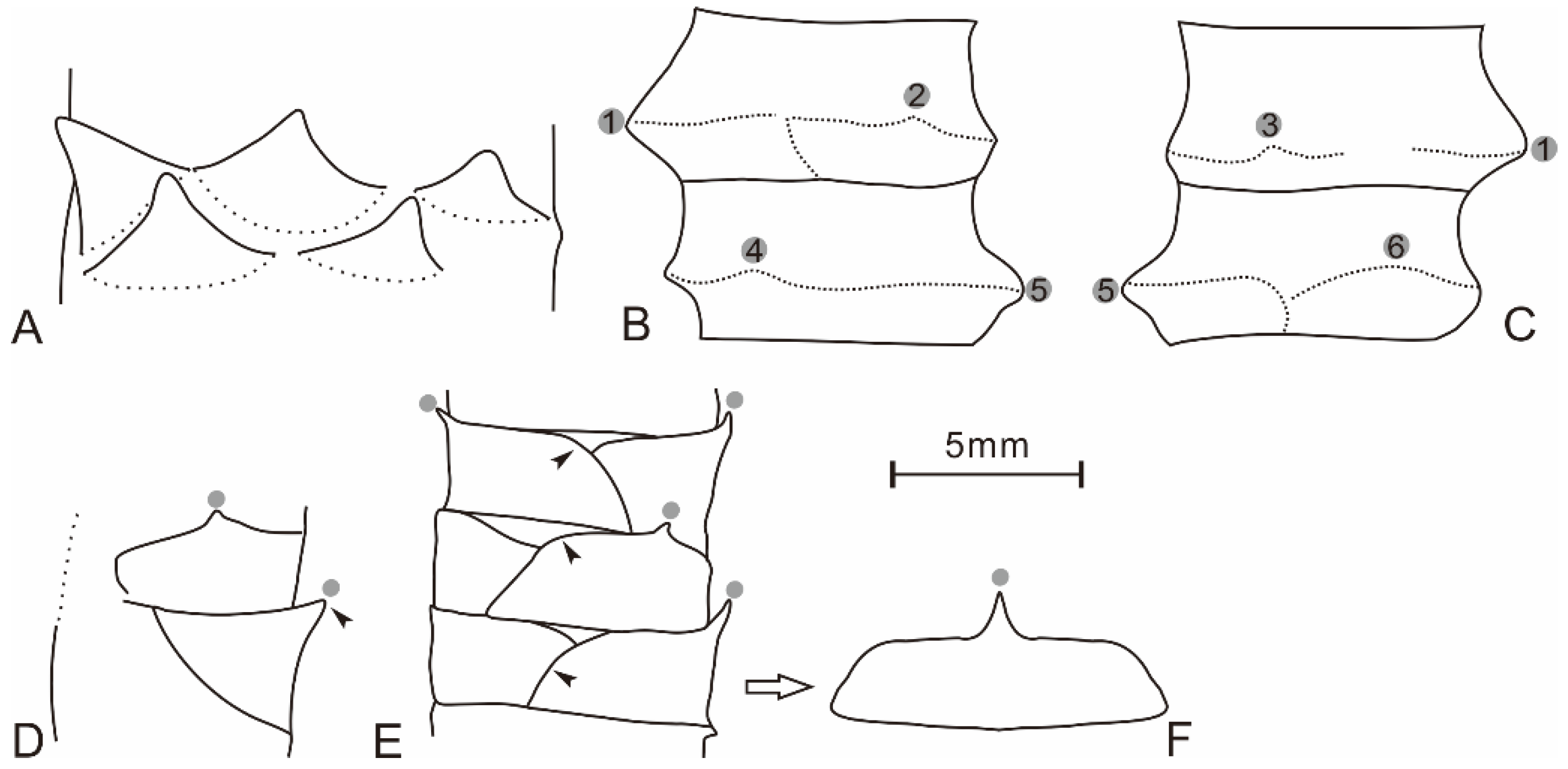 Plants 10 02631 g003