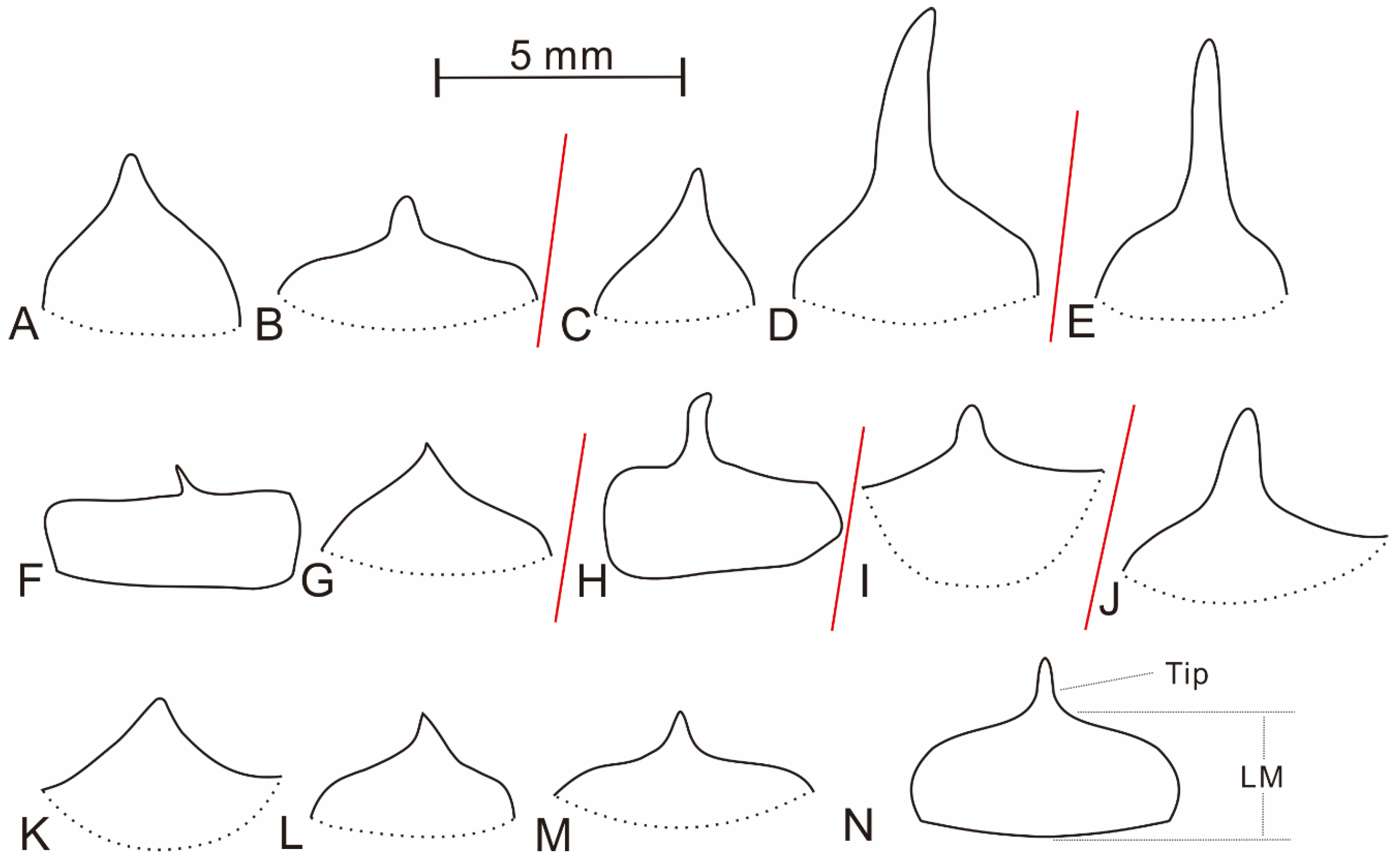 Plants 10 02631 g004