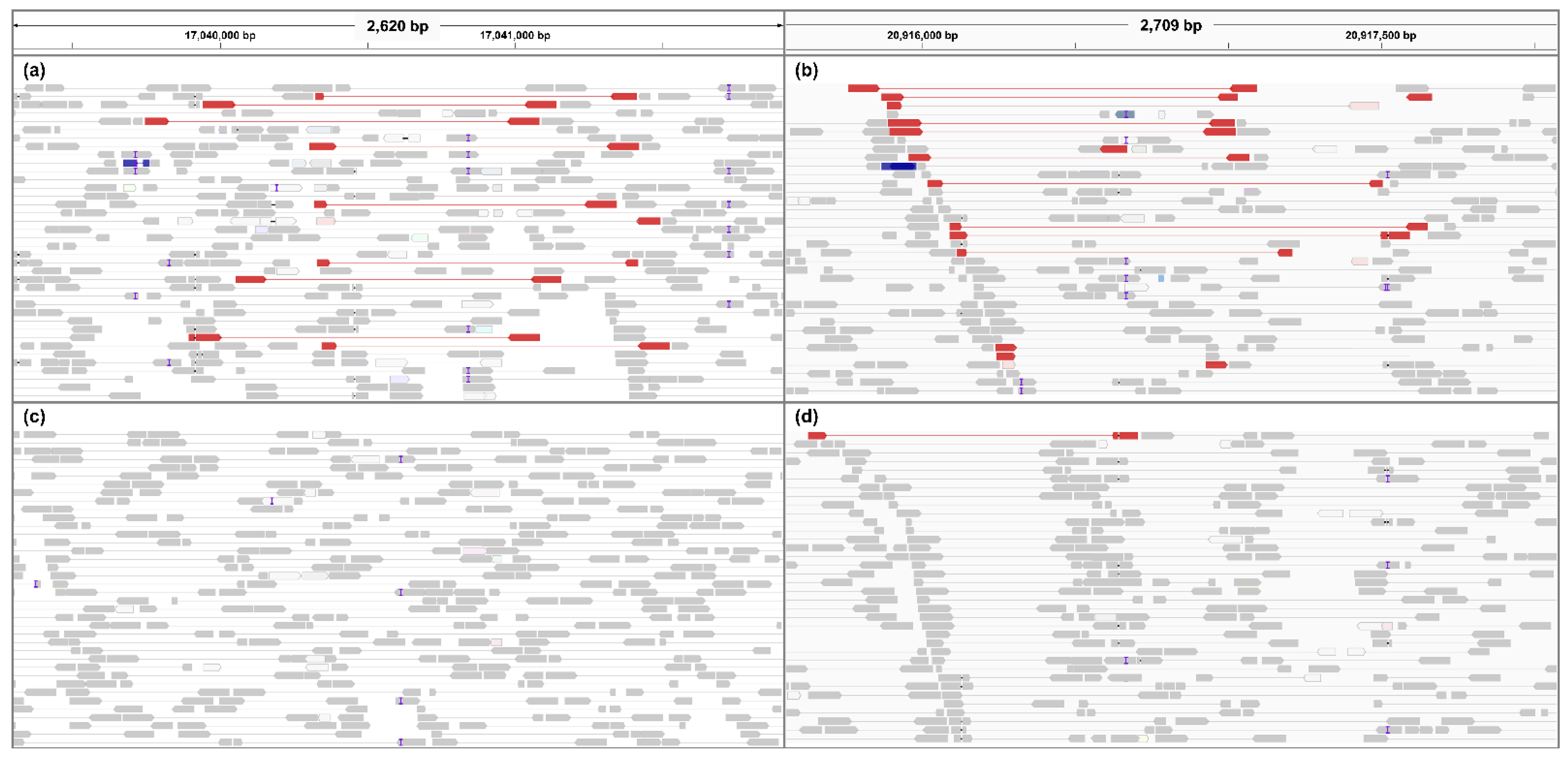 Plants 10 02632 g002