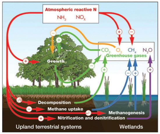 Plants | Free Full-Text | Climate Change Impacts on Sunflower