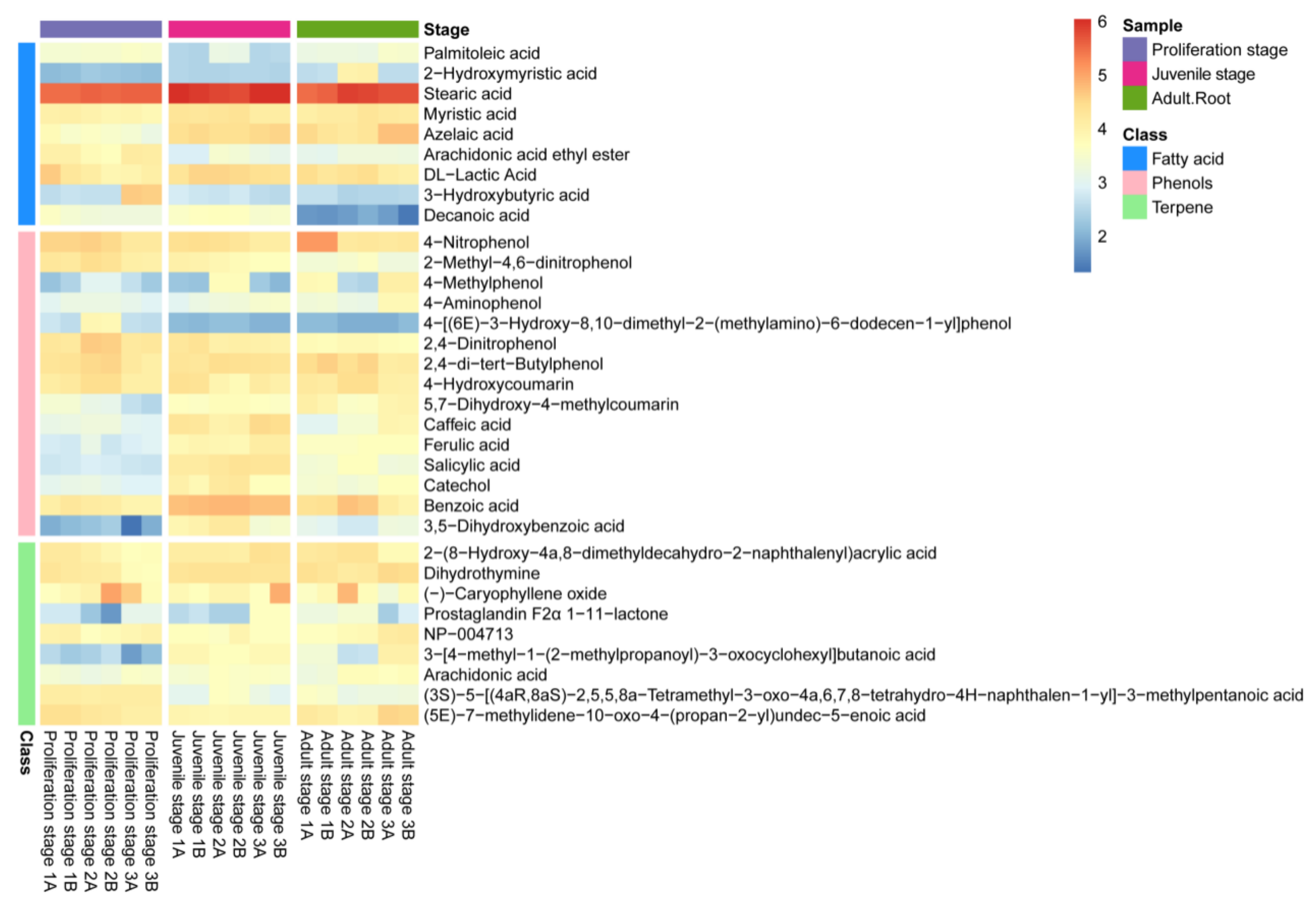 Plants 10 02653 g002