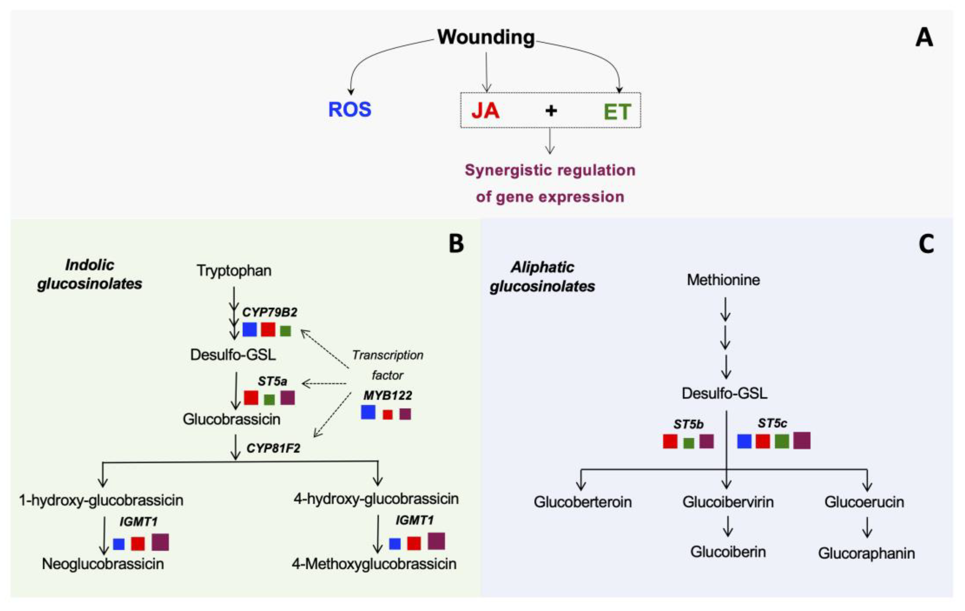 Plants 10 02660 g004
