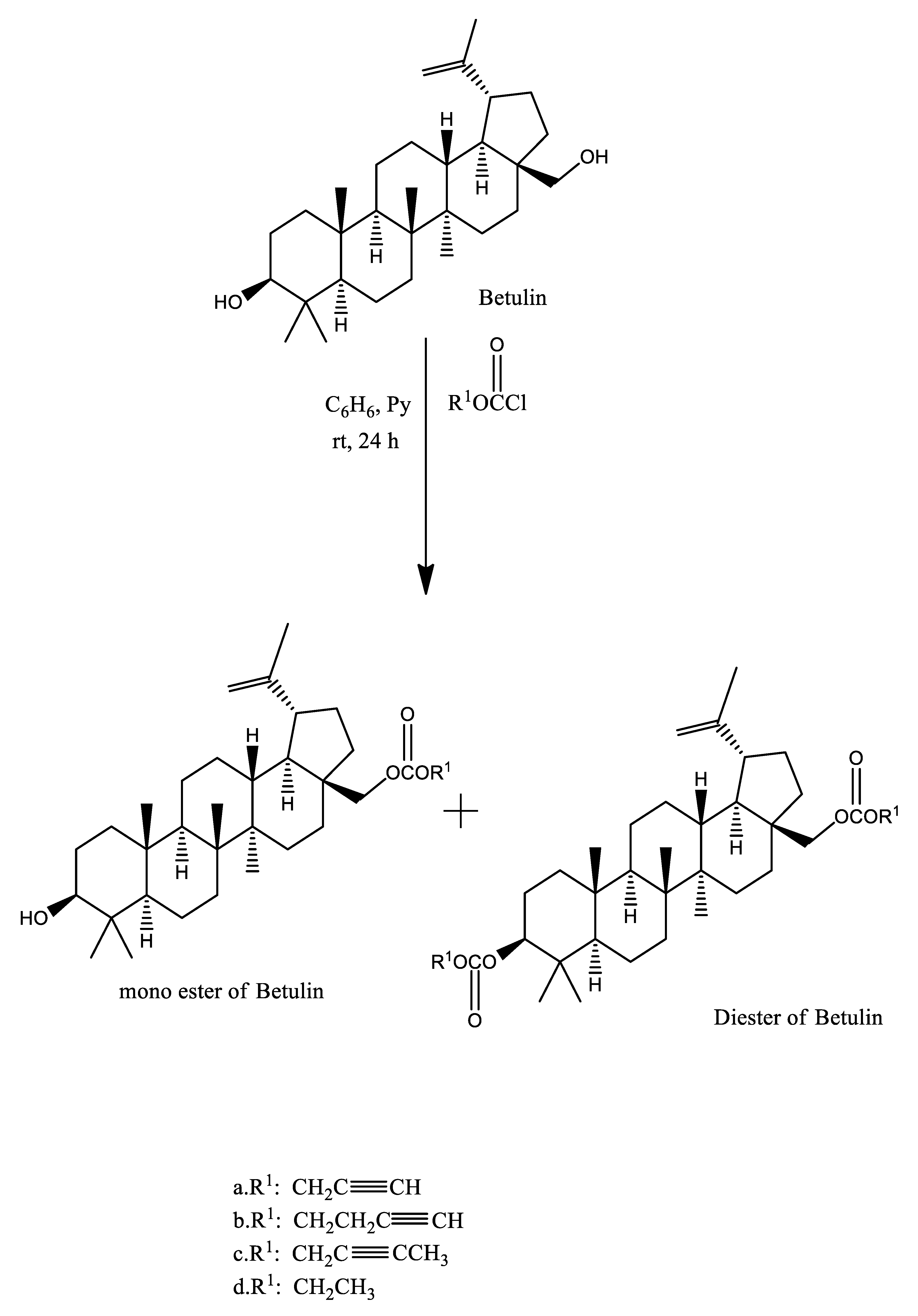 Plants 10 02663 g002