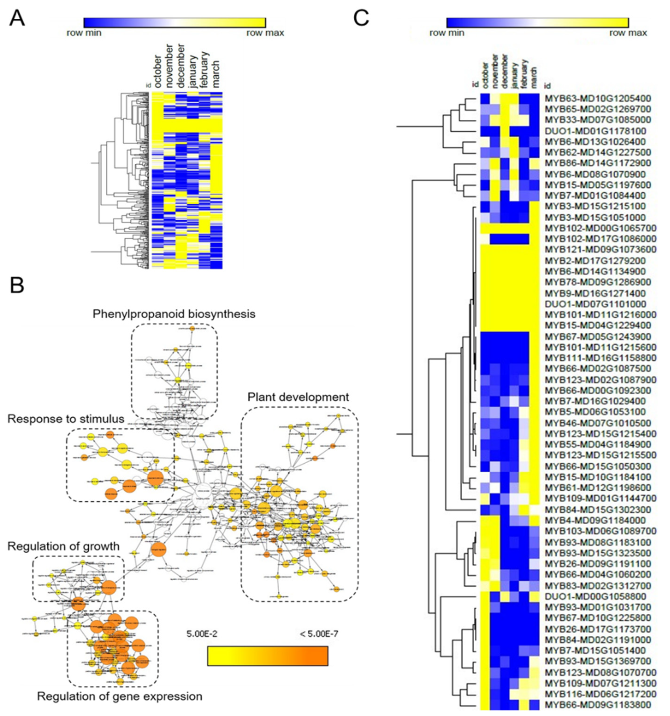 Plants 10 02665 g003