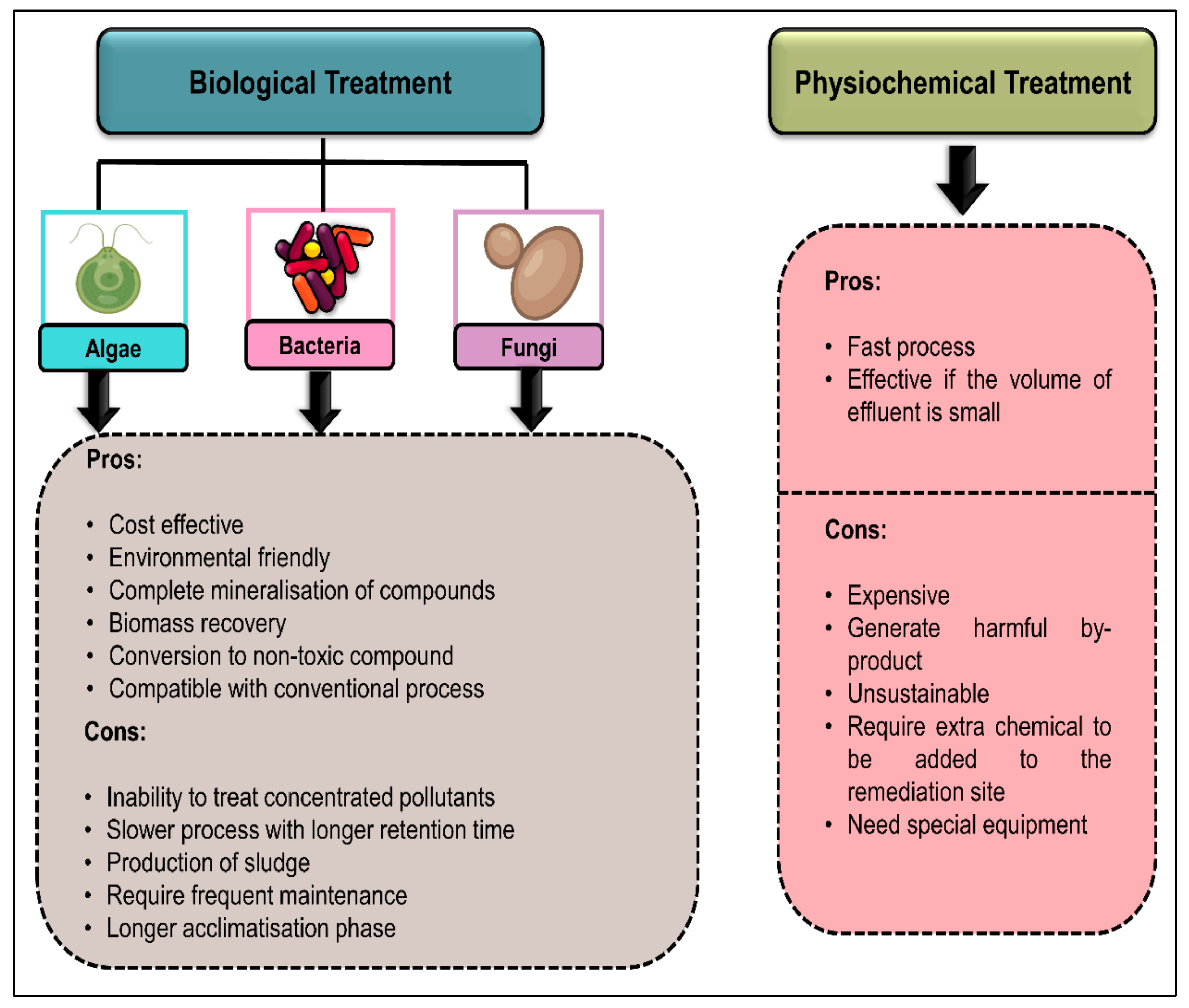 Plants 10 02677 g008 Plants 10 02677 g008