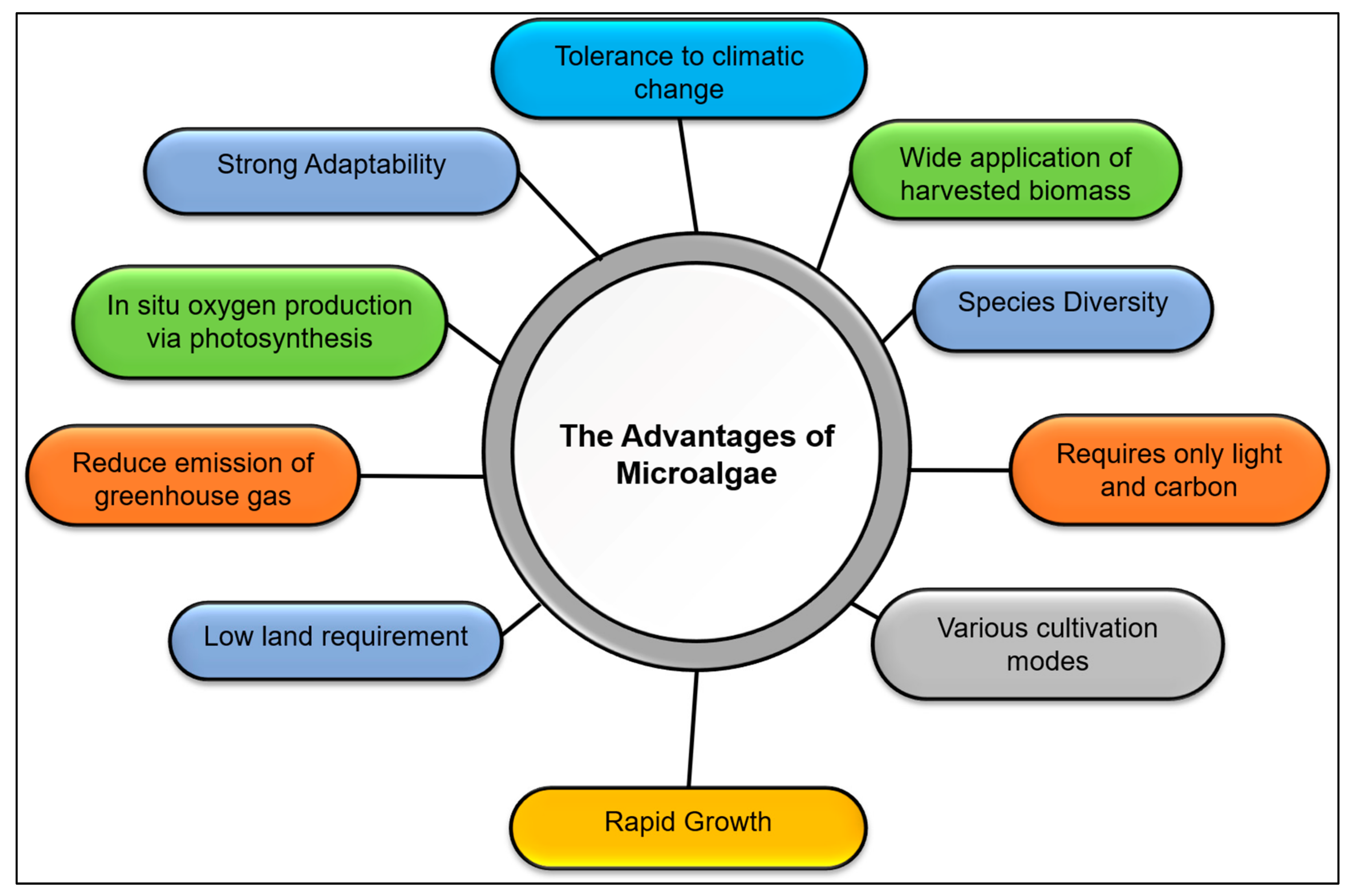 Plants 10 02677 g018 Plants 10 02677 g018