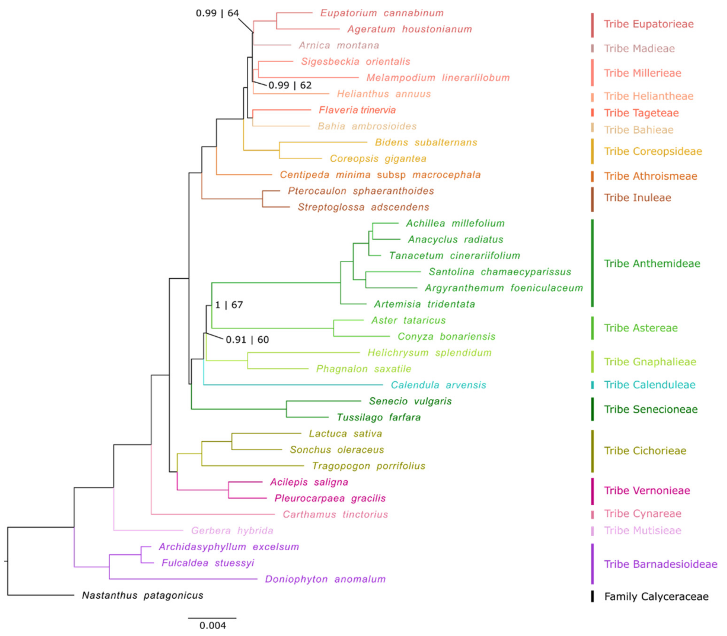 Plants 10 02699 g001
