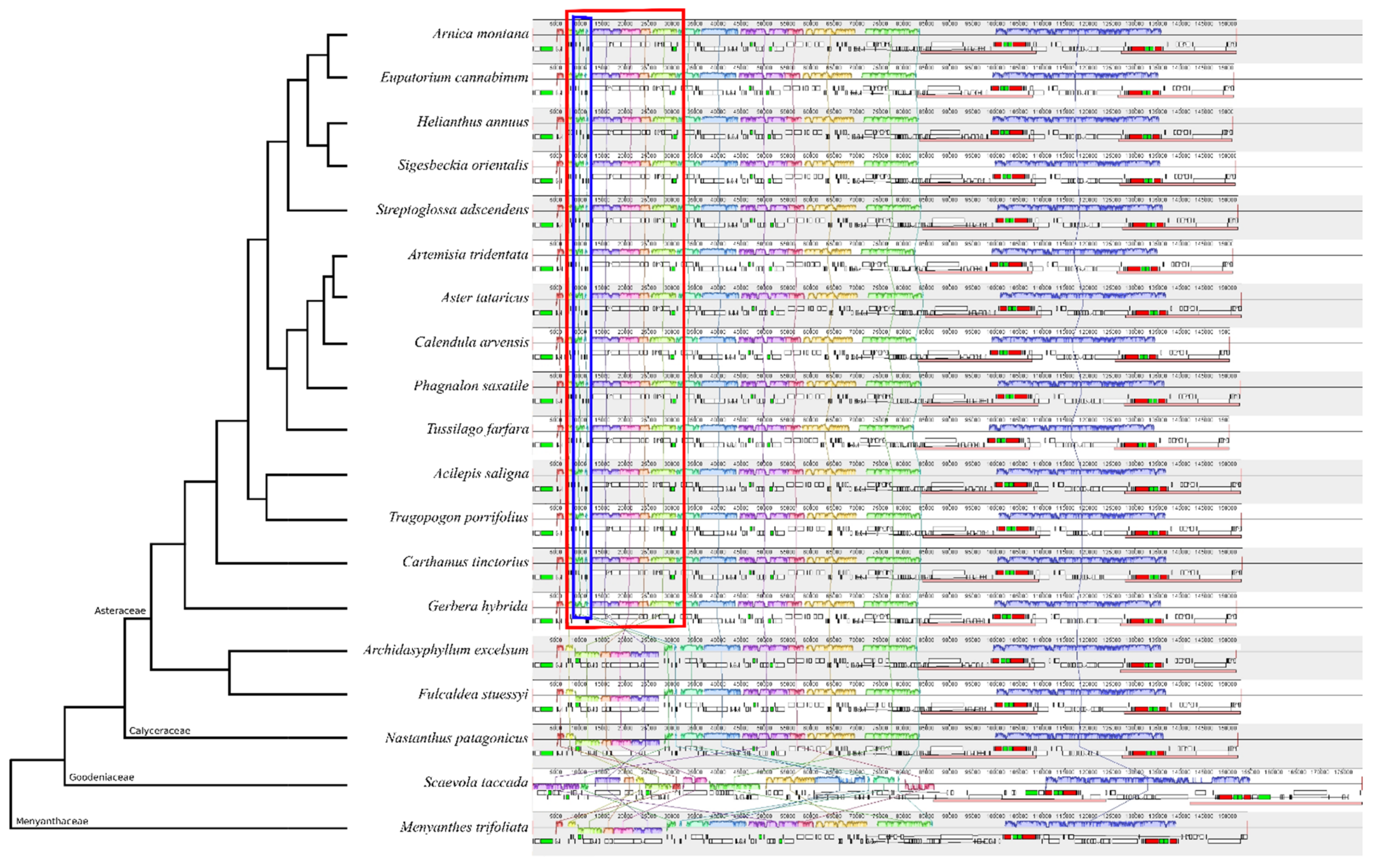 Plants 10 02699 g002
