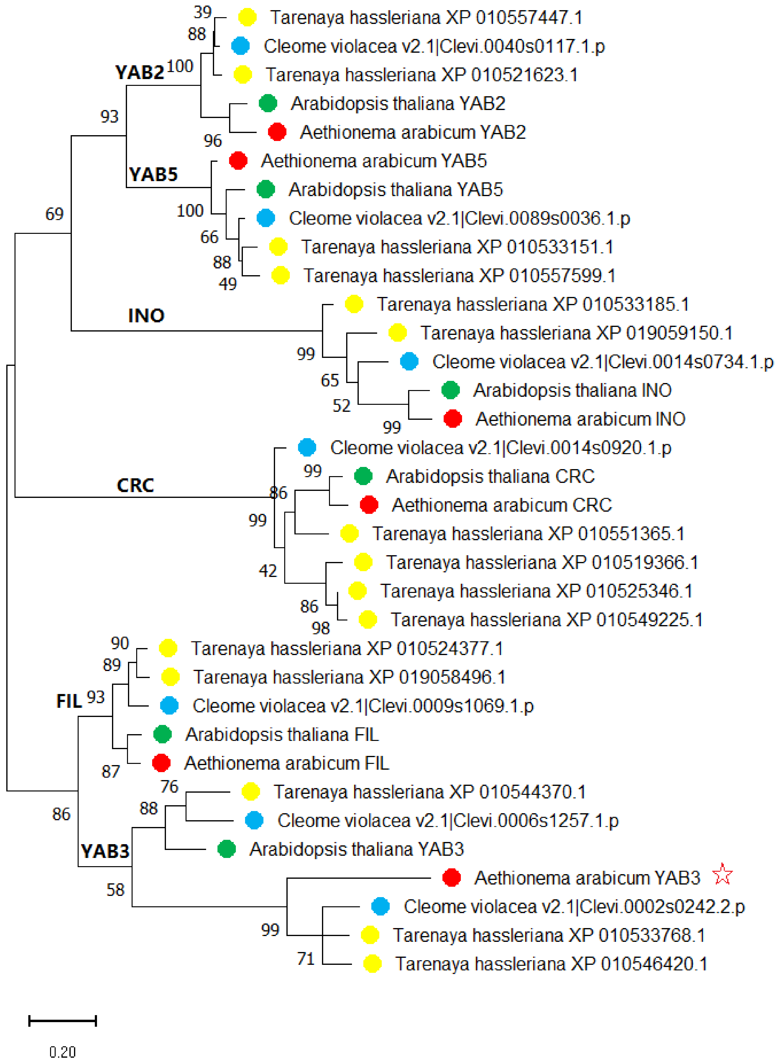 Plants 10 02700 g002