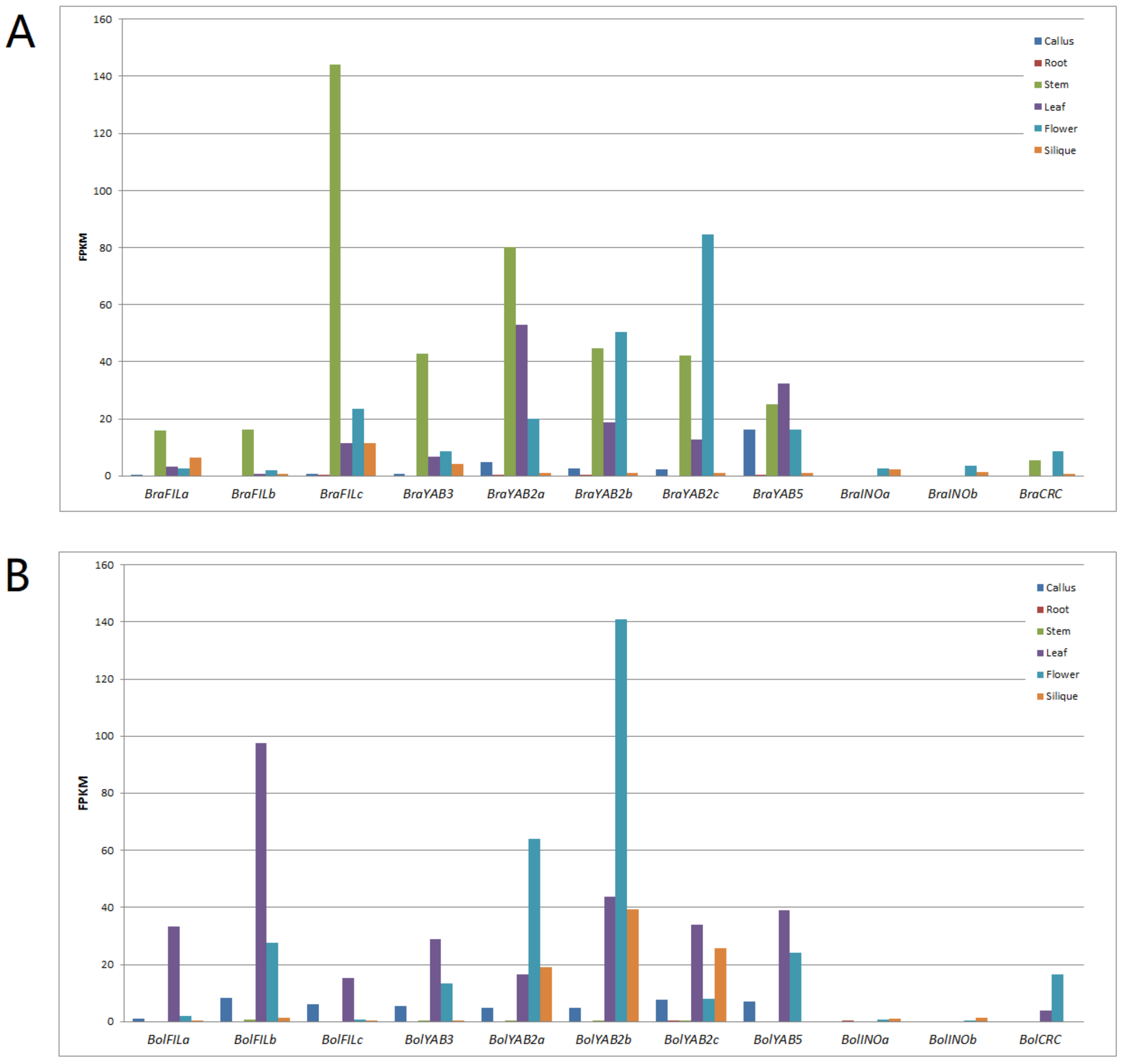 Plants 10 02700 g005