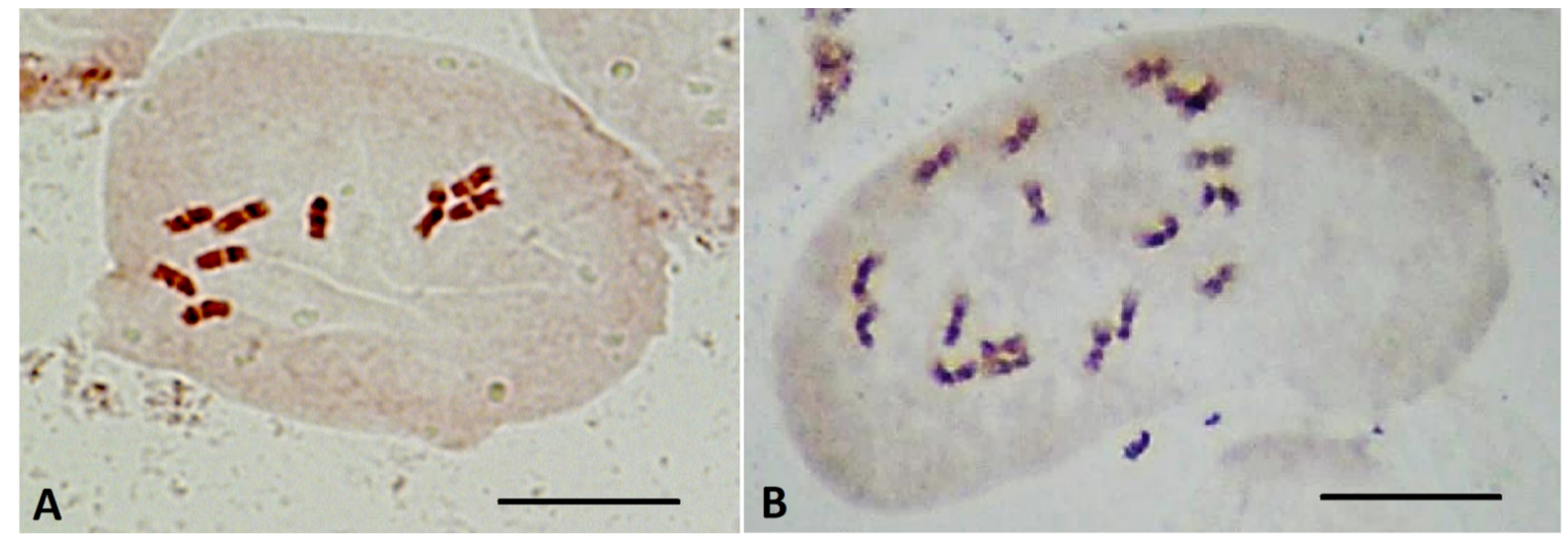 Plants 10 02703 g009