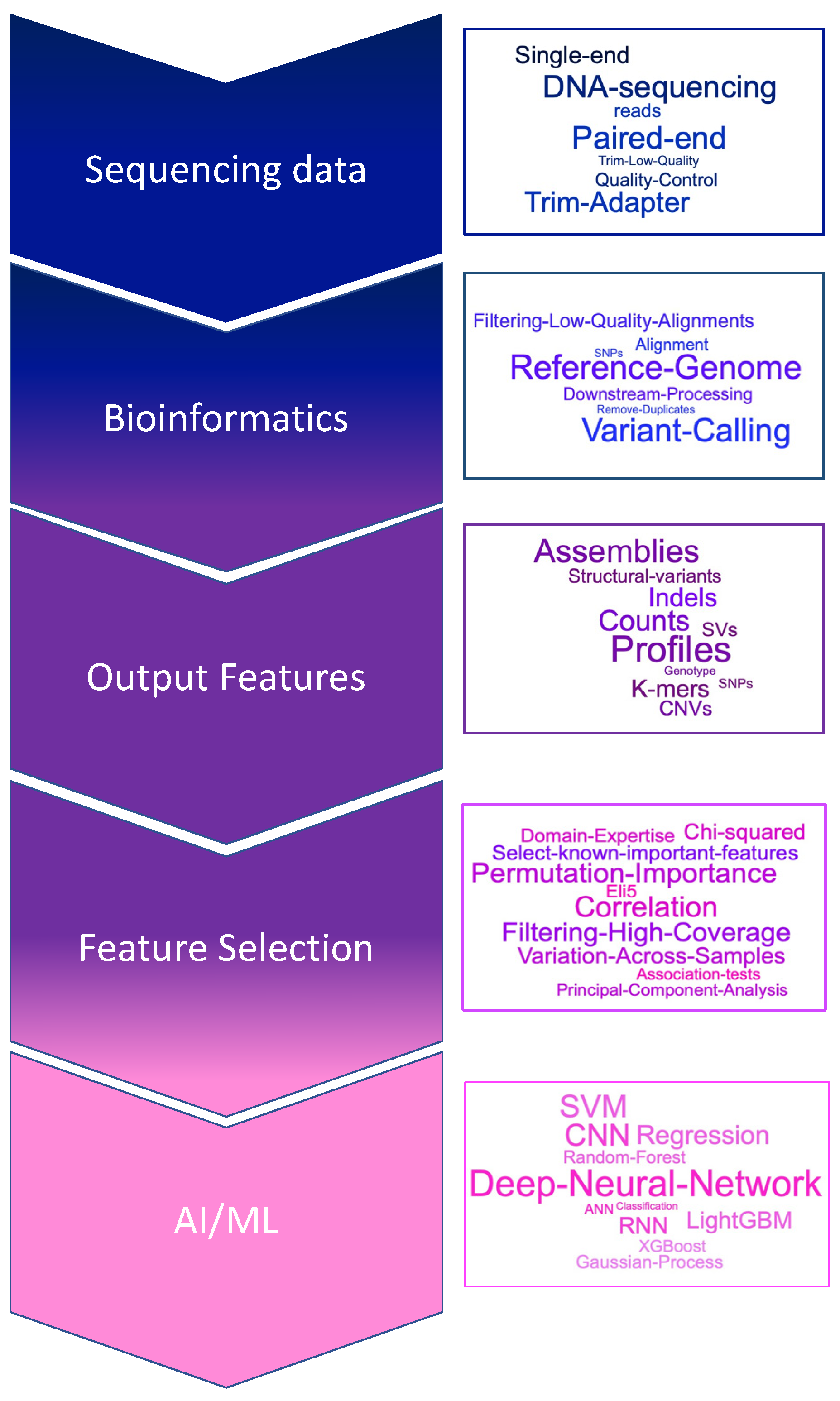Plants 10 02707 g002