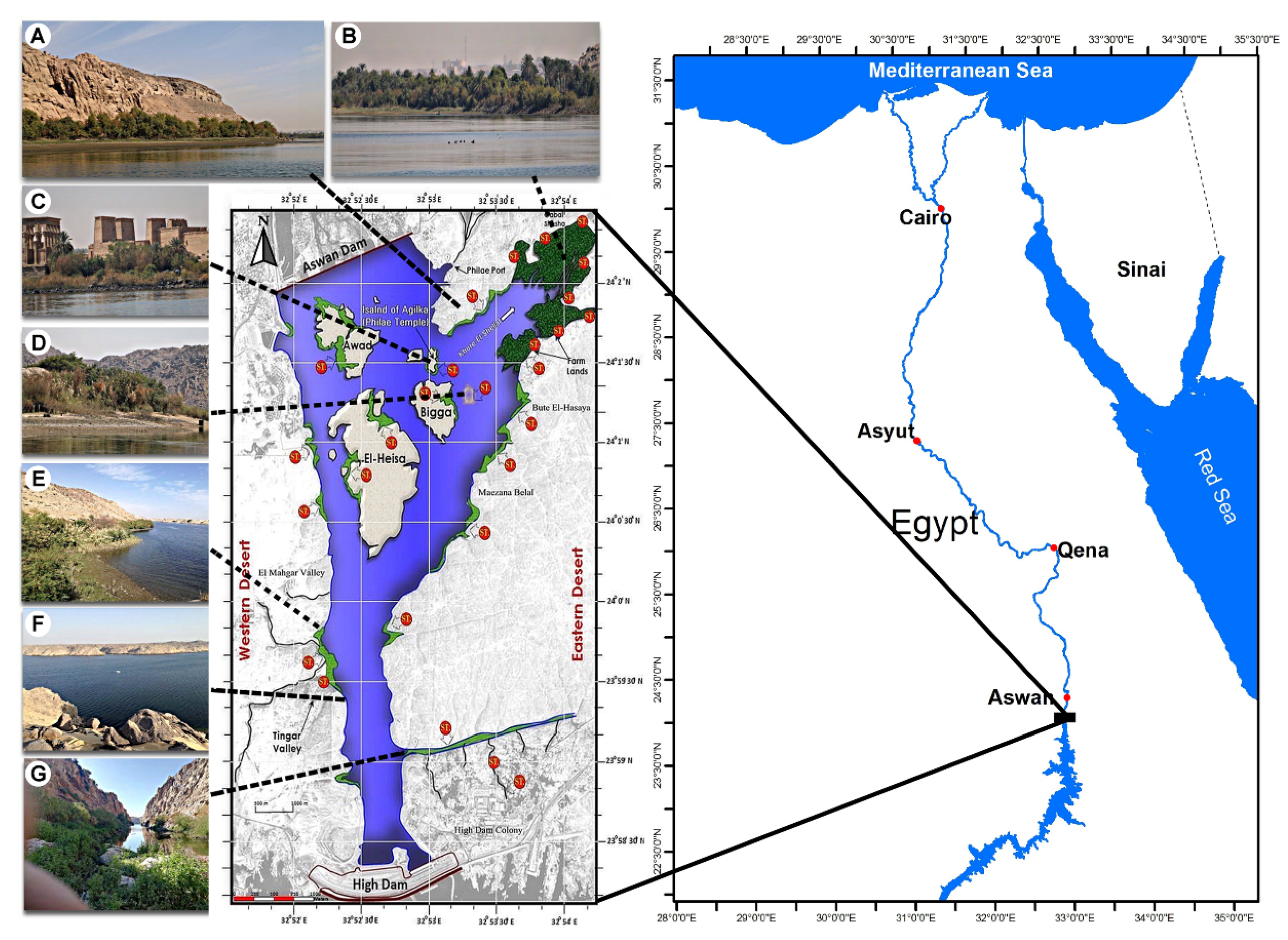 Plants 10 02712 g007
