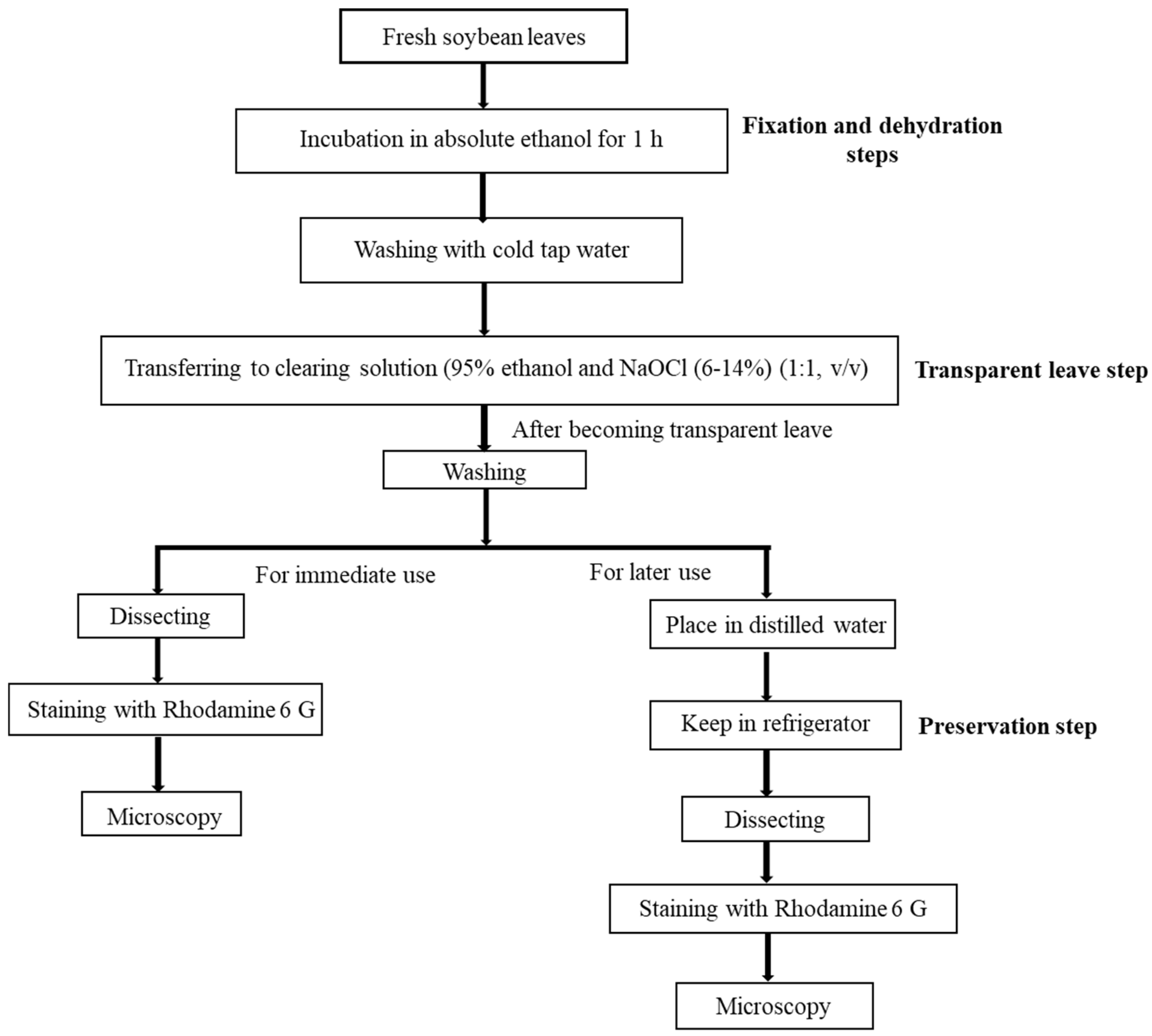 Plants 10 02714 g004