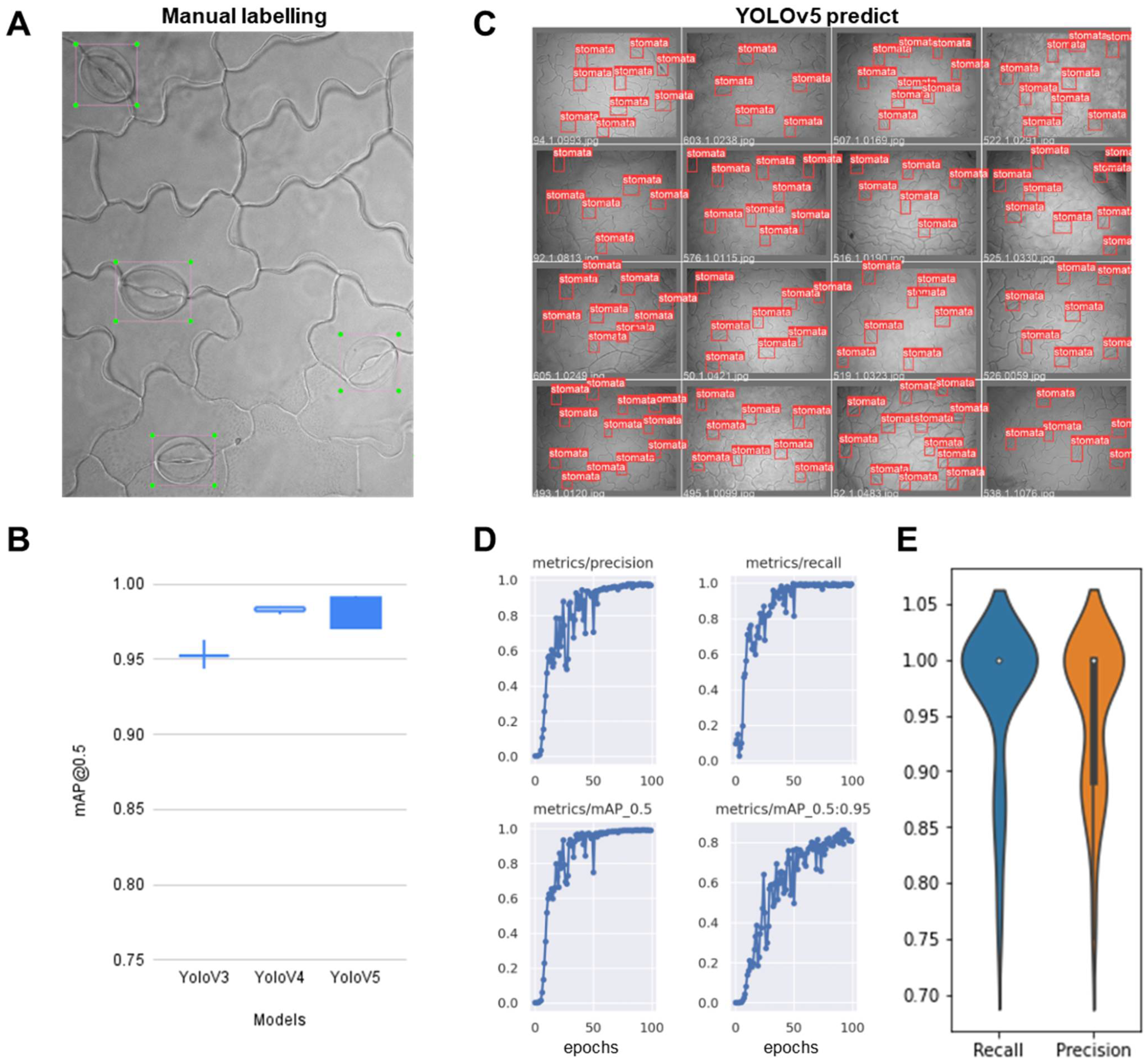 Plants 10 02714 g006