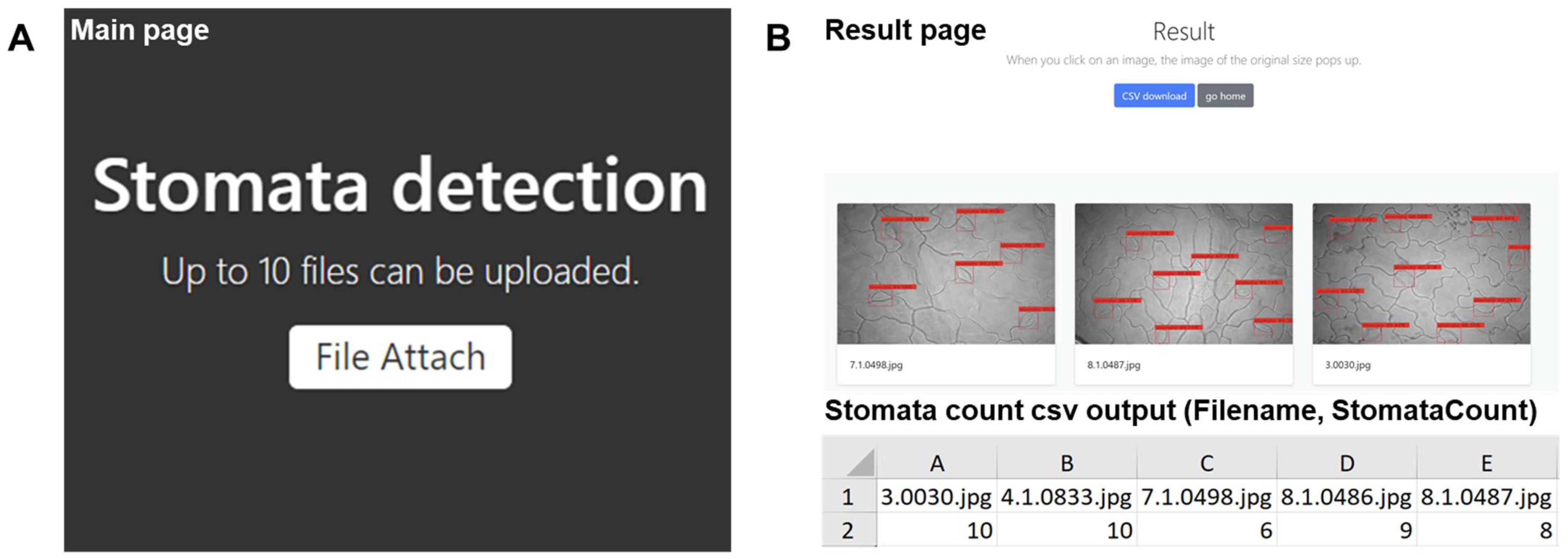 Plants 10 02714 g007