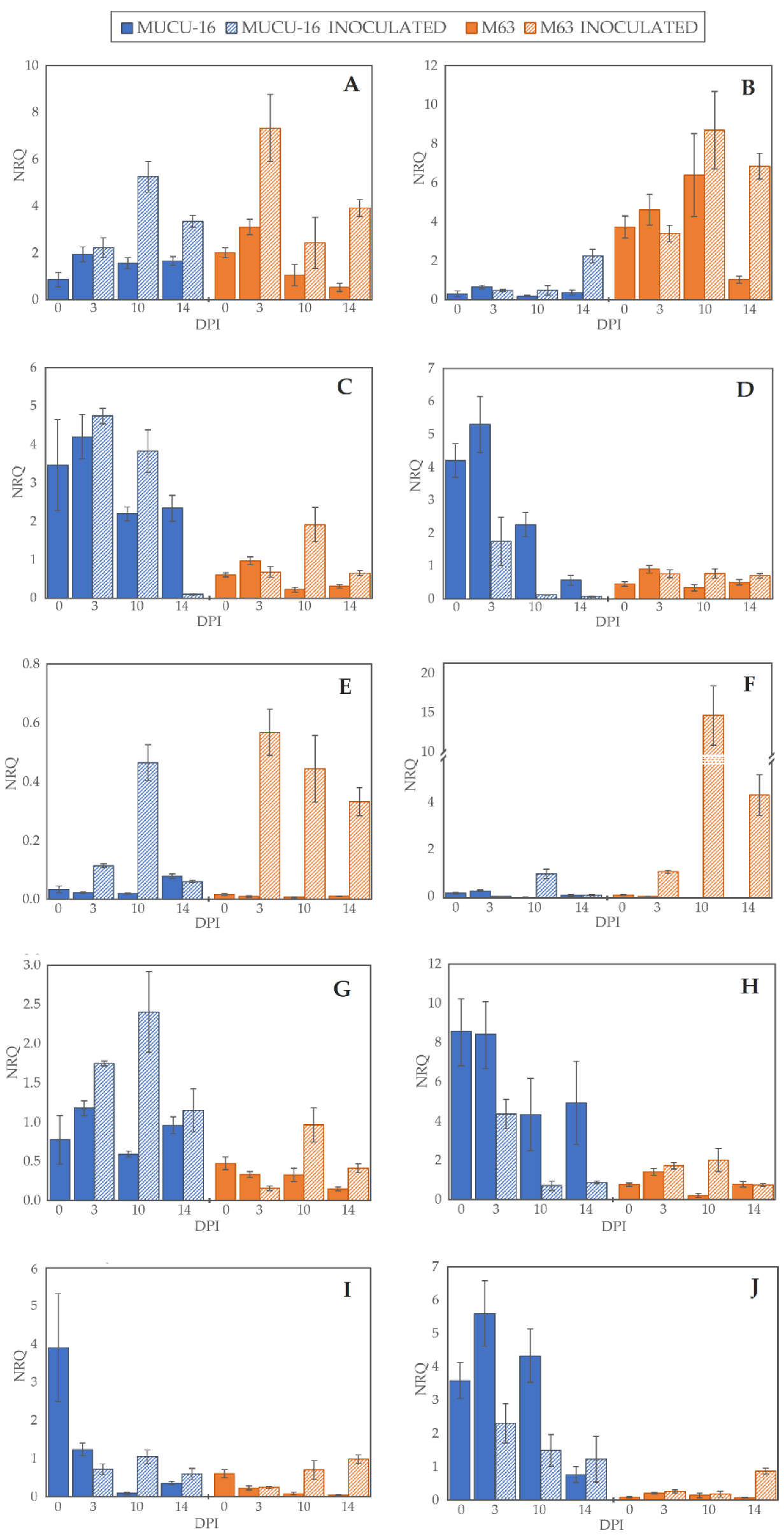 Plants 10 02718 g002