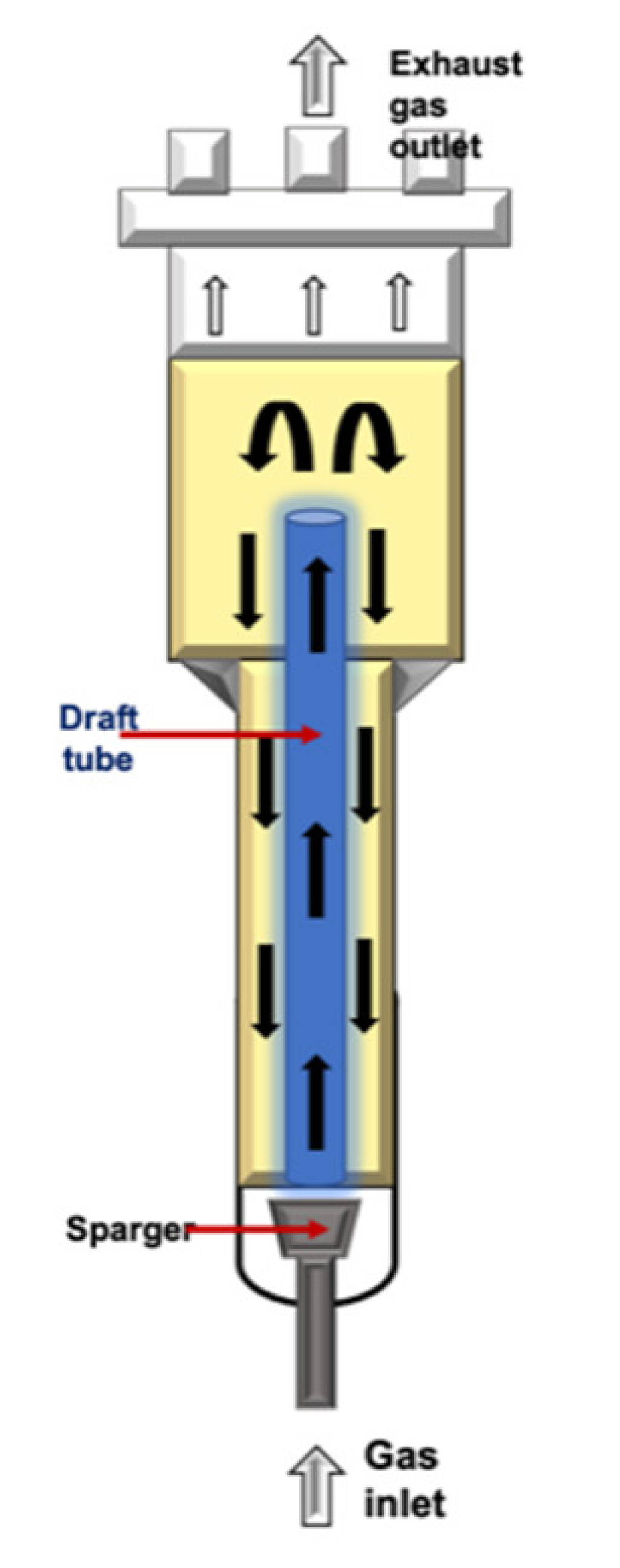 Plants 10 02762 i002