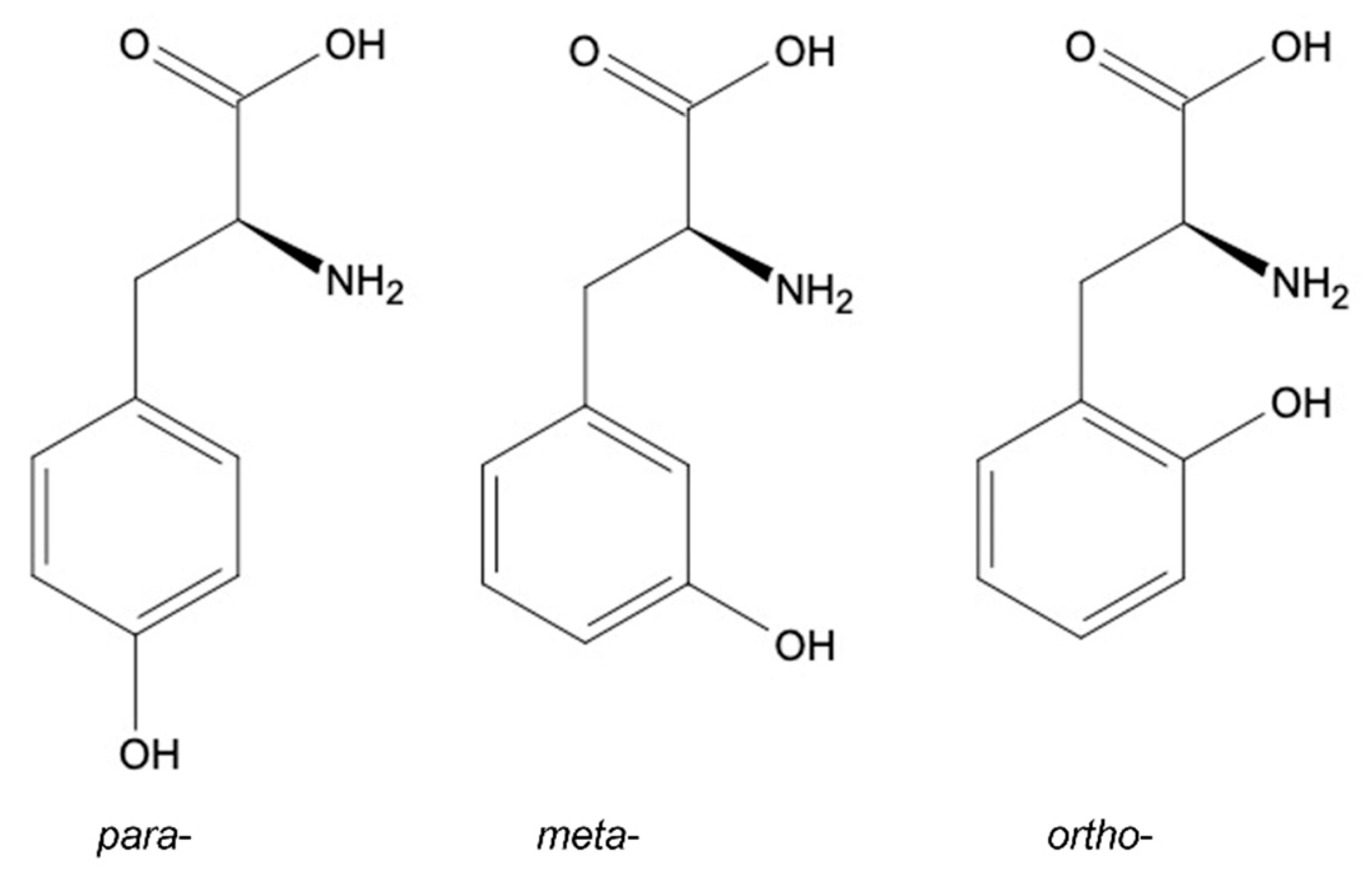 Plants 10 02800 g002