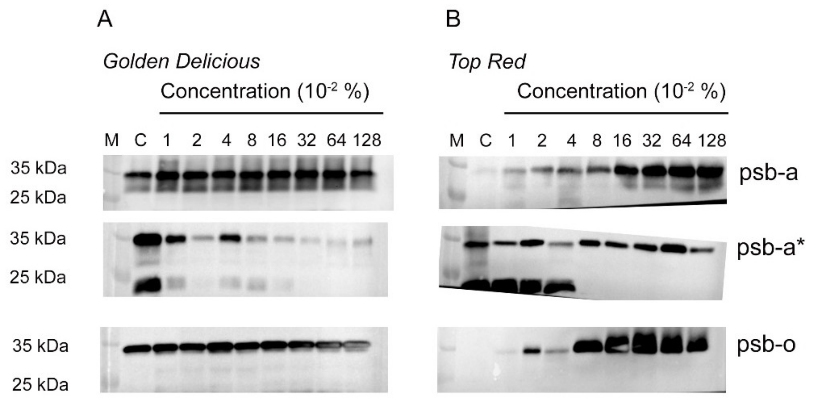 Plants 10 02803 g005