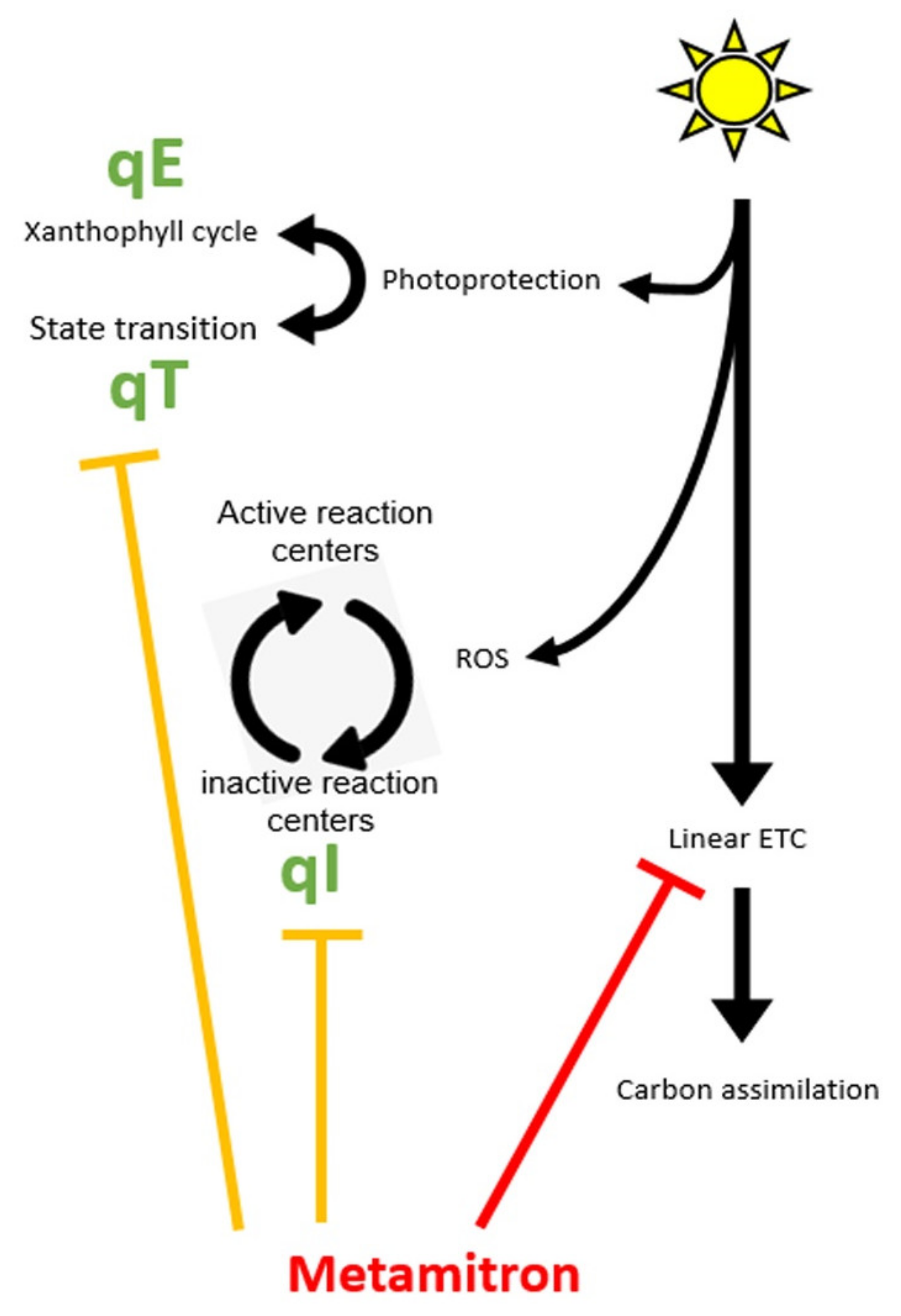 Plants 10 02803 g006