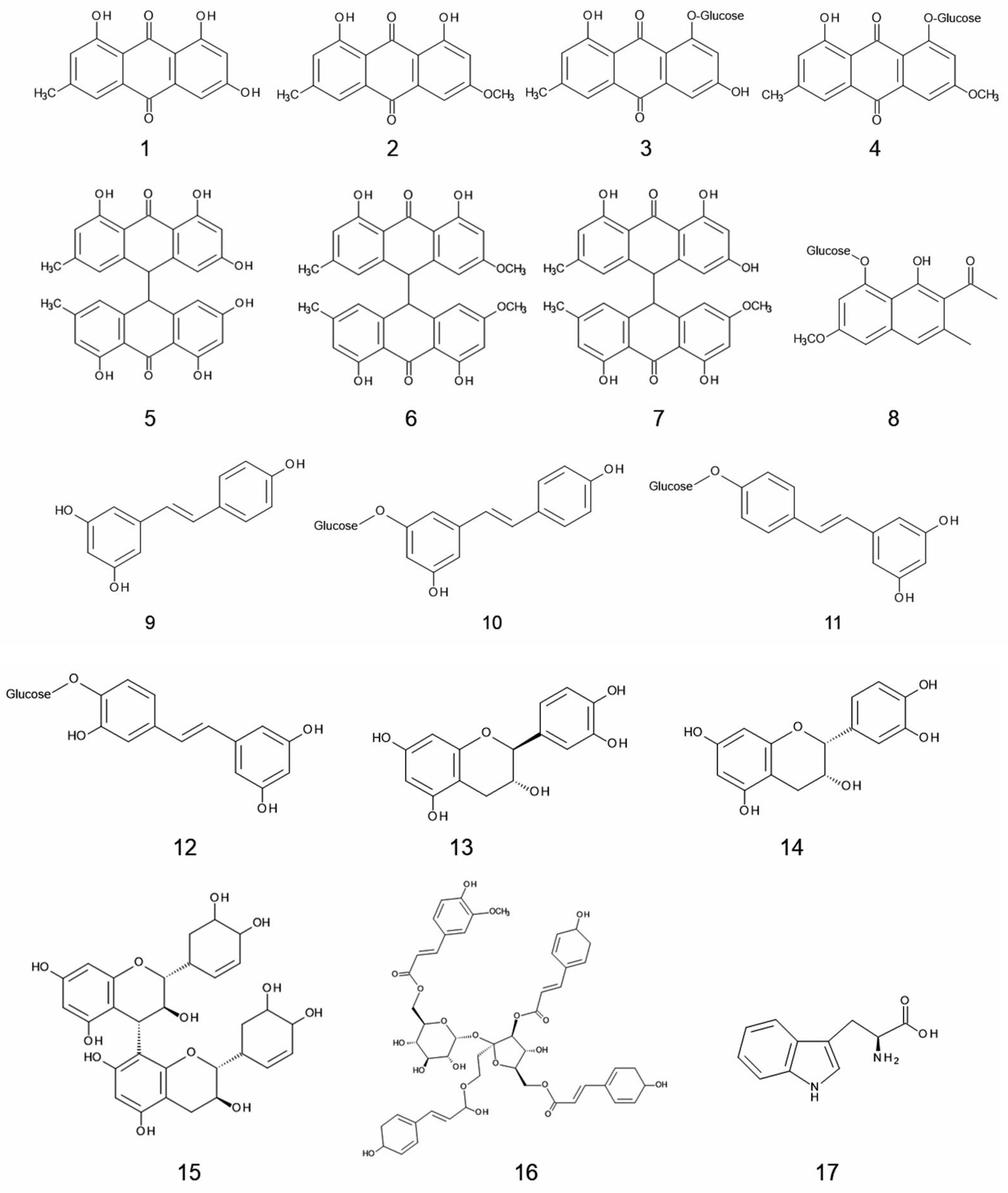 Plants 11 00003 g001