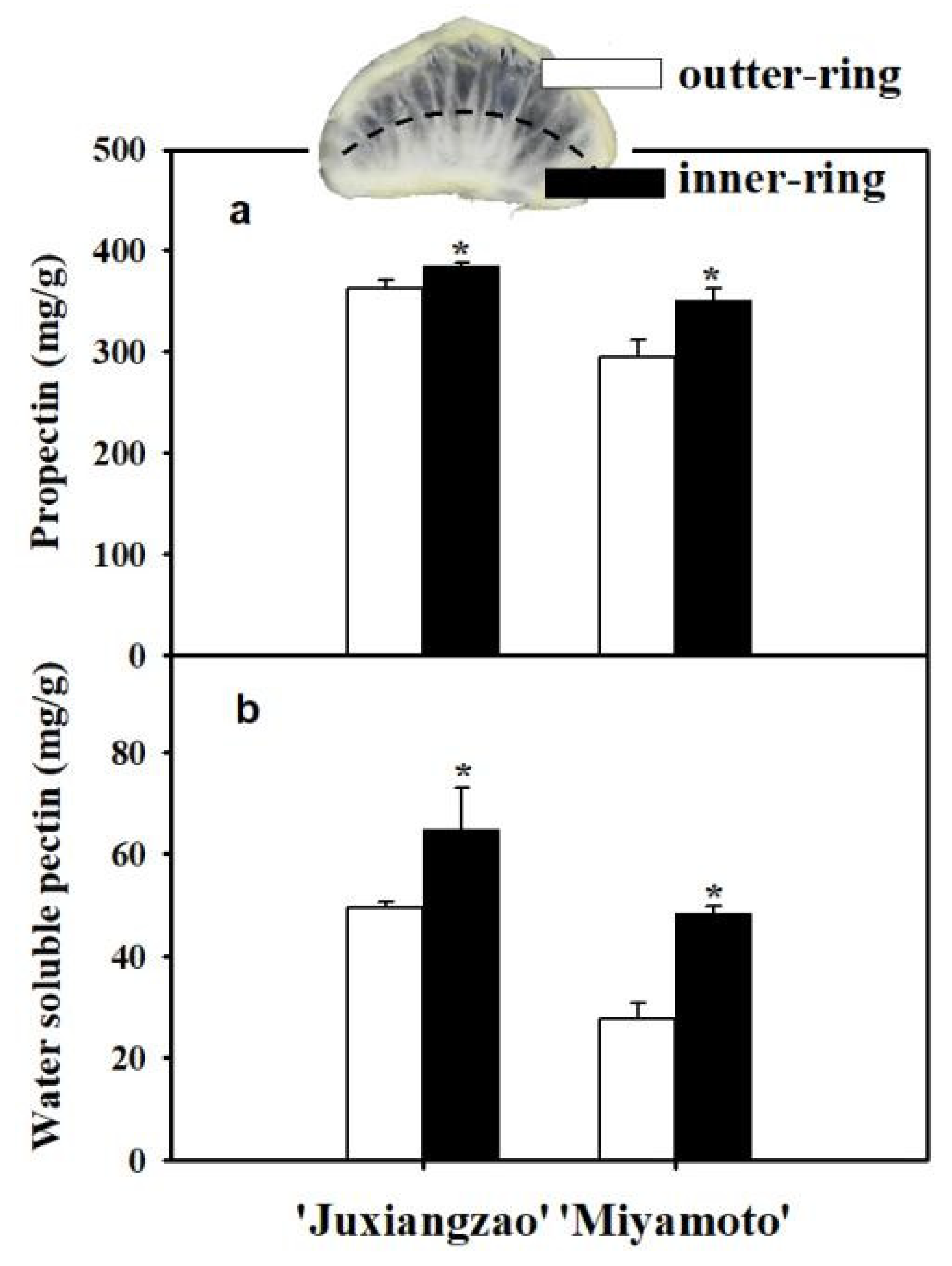 Plants 11 00039 g005