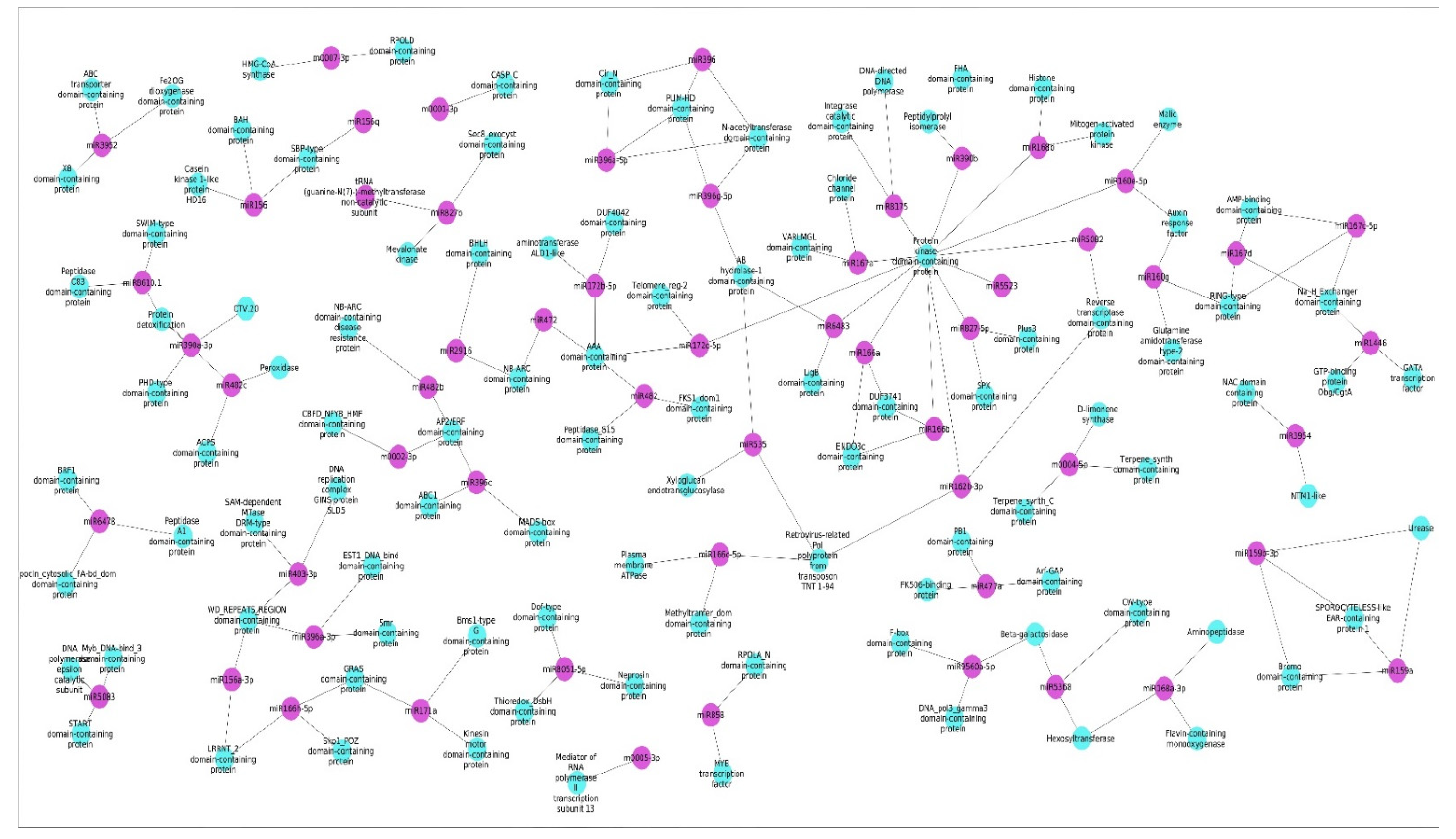 Plants 11 00046 g005